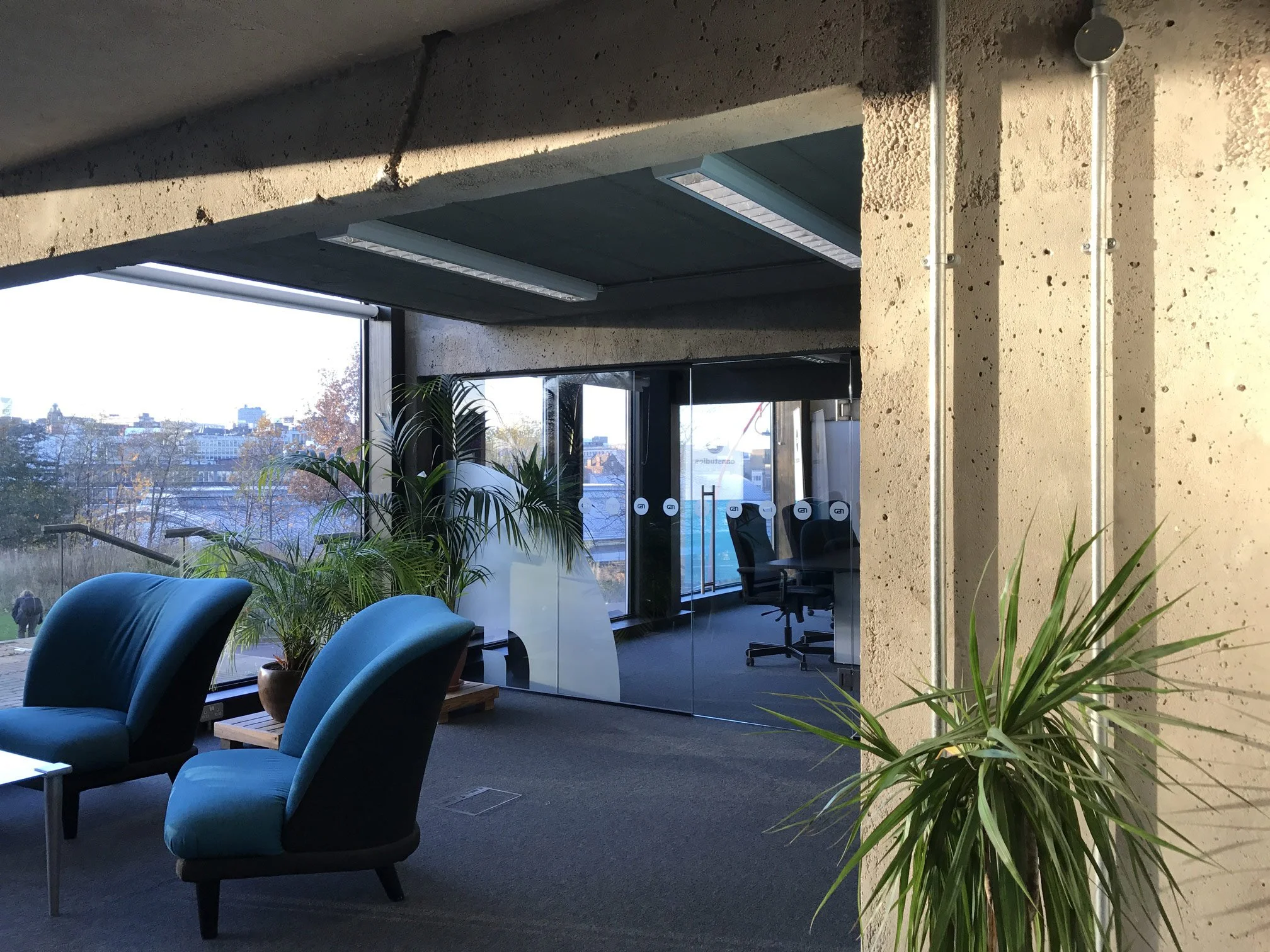 Office interior with large windows, plants, blue velvet chairs, and concrete walls and ceiling.