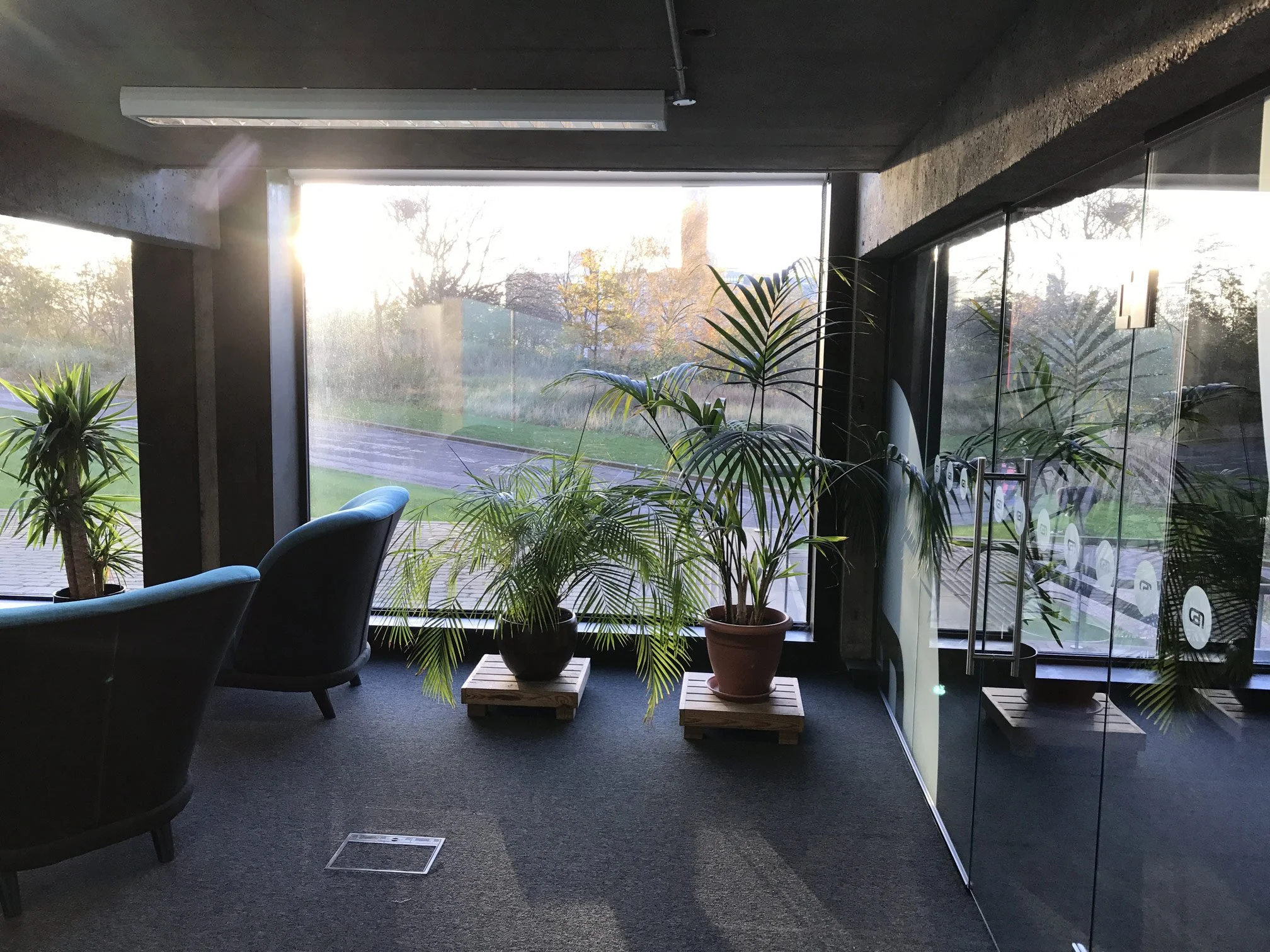 Interior of a building with large glass windows, potted plants, and chairs, sunlight shining through