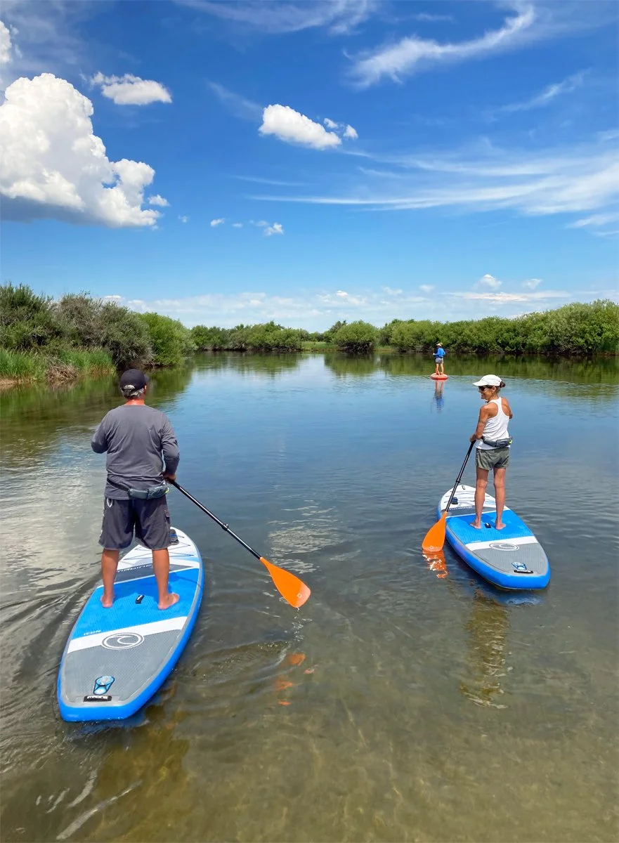 Paddleboard Driggs Wai Mauna