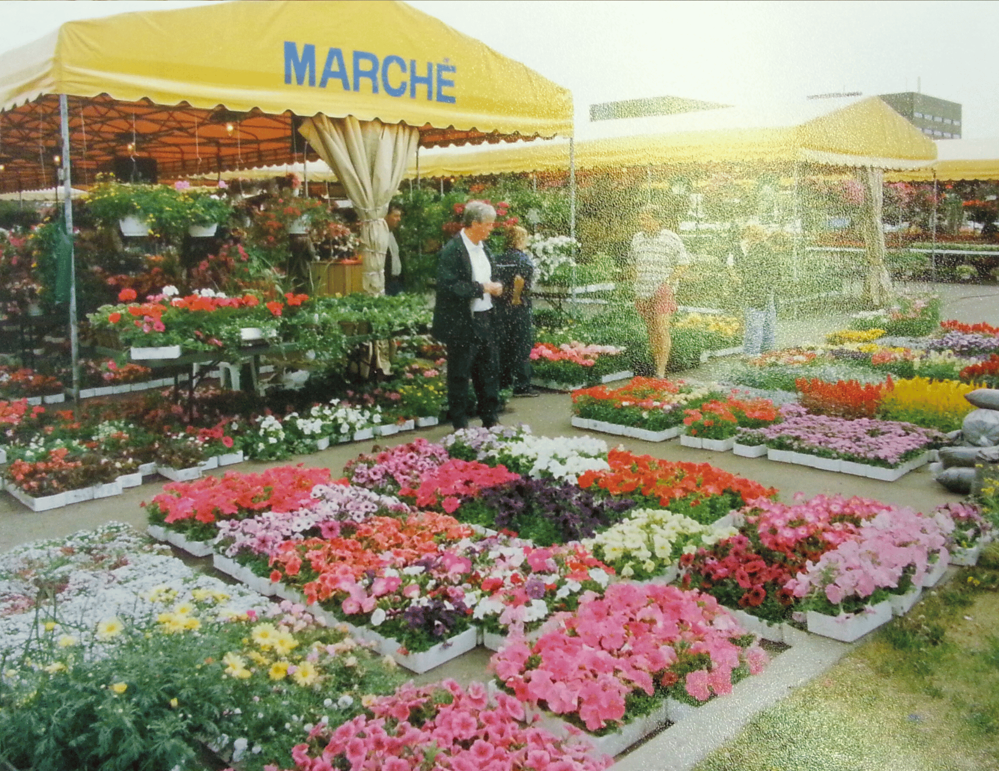 Marché aux fleurs avec des paniers de fleurs colorées, étals sous une tente jaune, personnes flânant et achetant des plantes, ambiance de marché floral.
