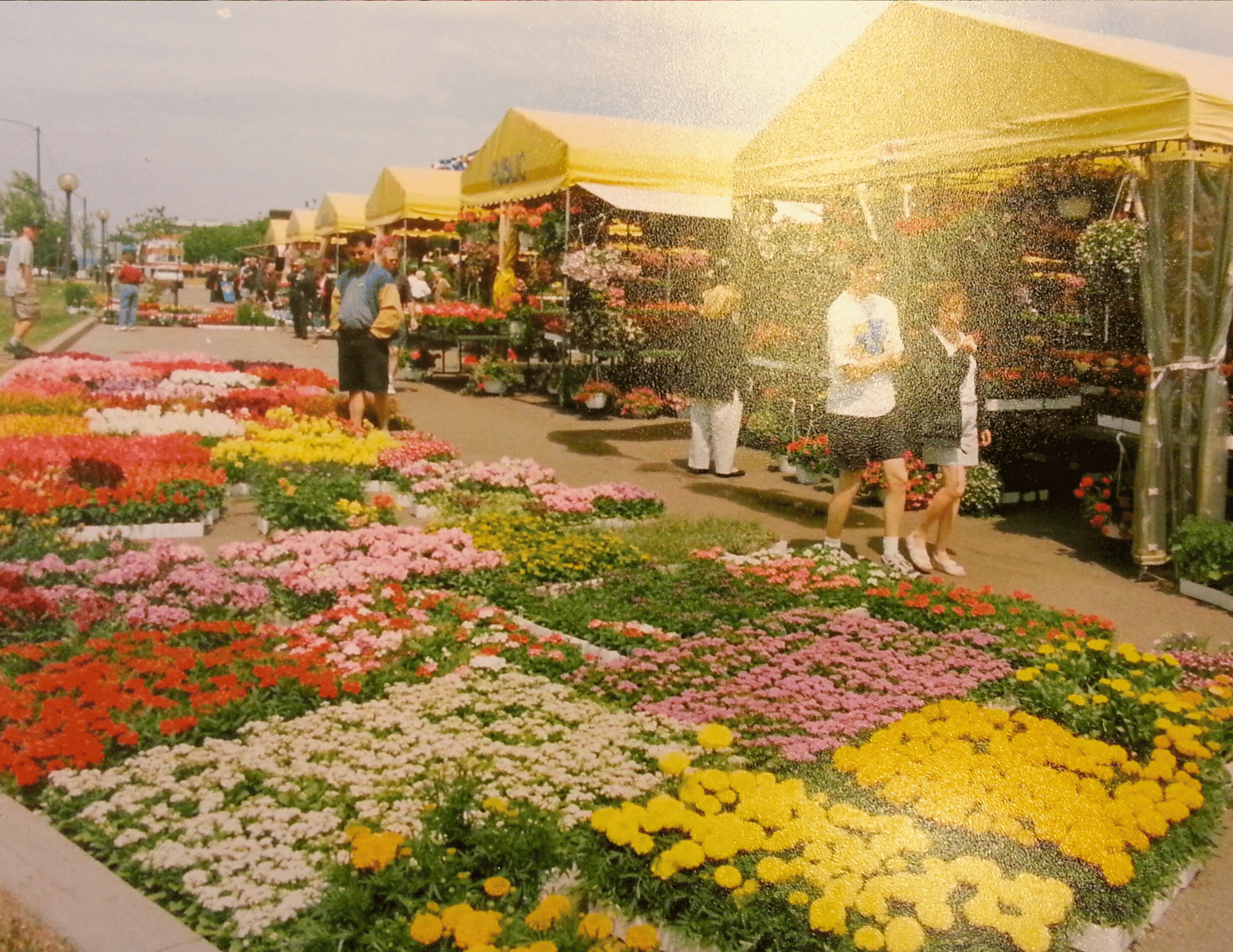 Marché de fleurs avec des personnes achèteuses et vendeuses, étals recouverts de tentes jaunes, nombreuses fleurs colorées en premier plan.