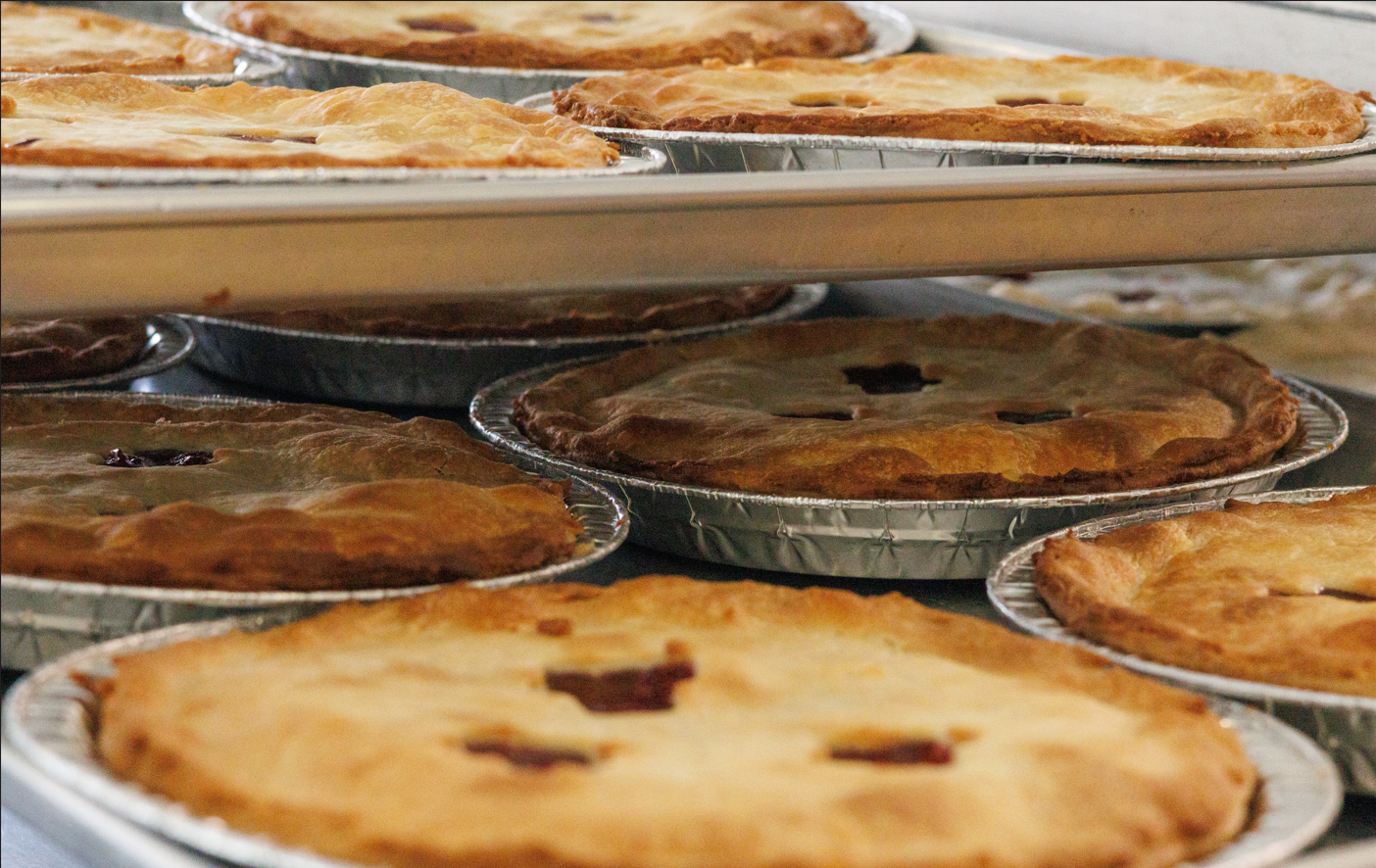 Plusieurs tartes aux fruits dans des plats en aluminium, en cours de cuisson ou de refroidissement.
