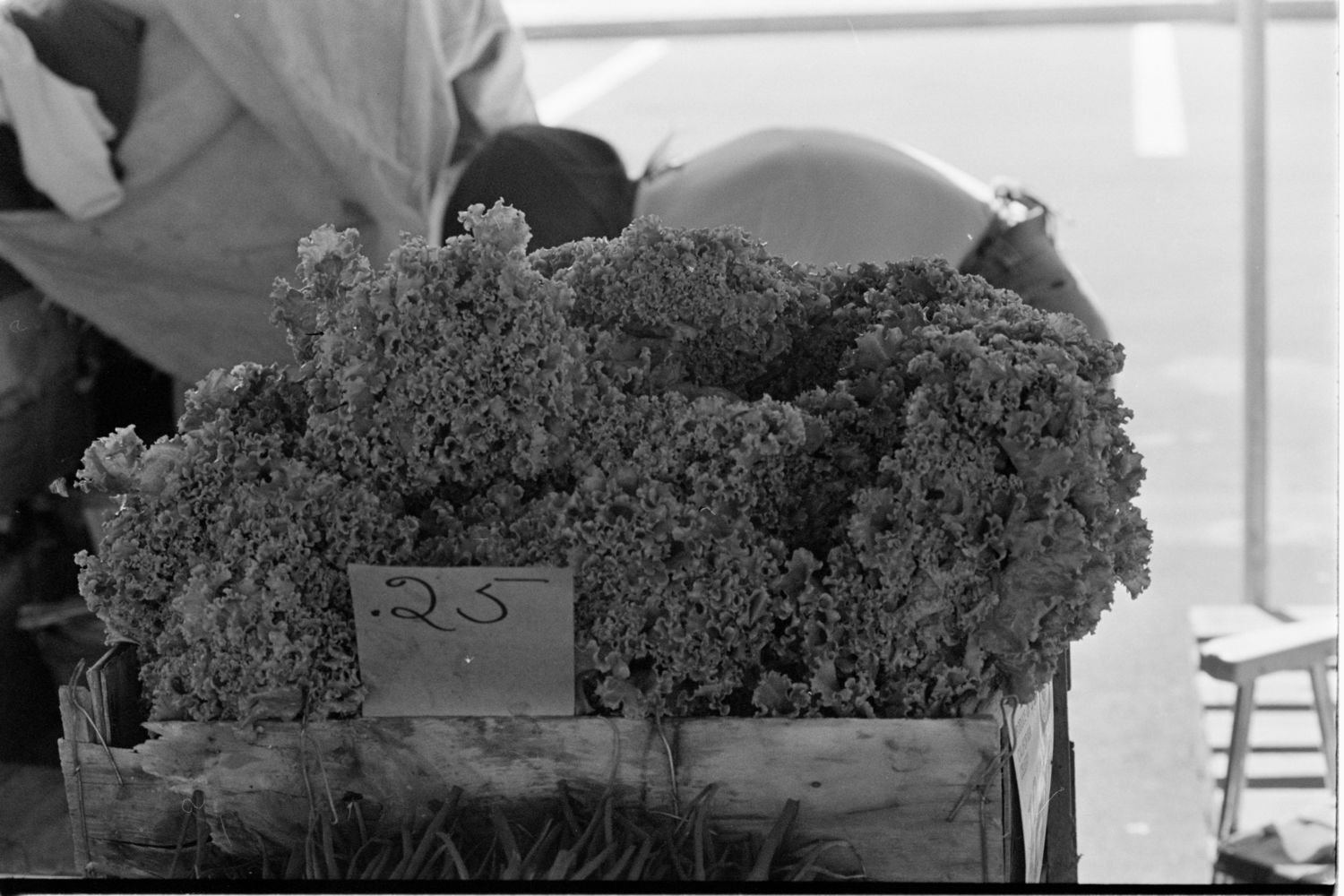 Marché de Sainte-Foy, 1976-07-31

Archives nationales à Québec, Fonds Ministère des Communications, (03Q,E10,S44,SS1,D76-360), Claude Gadoury.