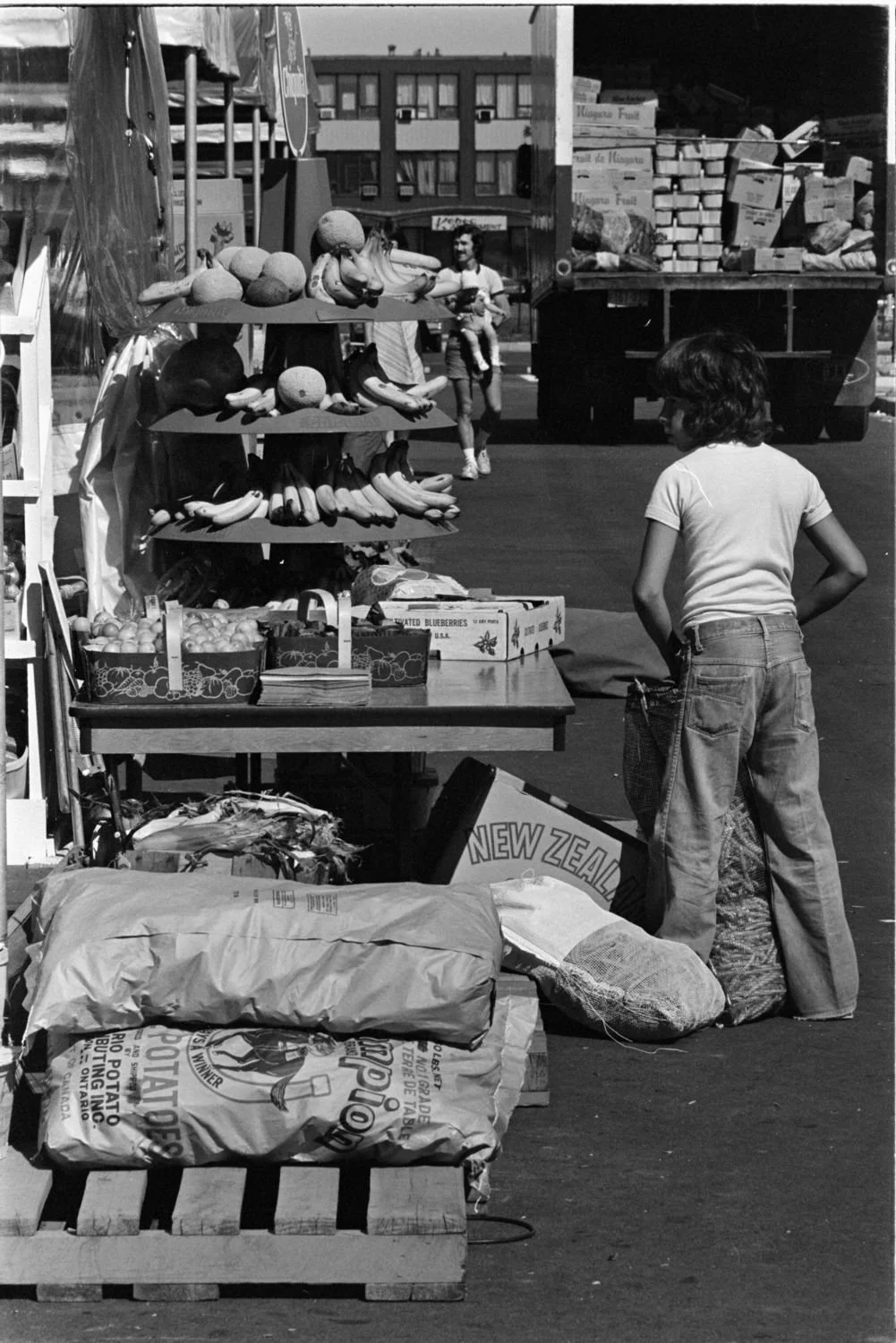 Marché de Sainte-Foy, 1976-07-31

Archives nationales à Québec, Fonds Ministère des Communications, (03Q,E10,S44,SS1,D76-360), Claude Gadoury.