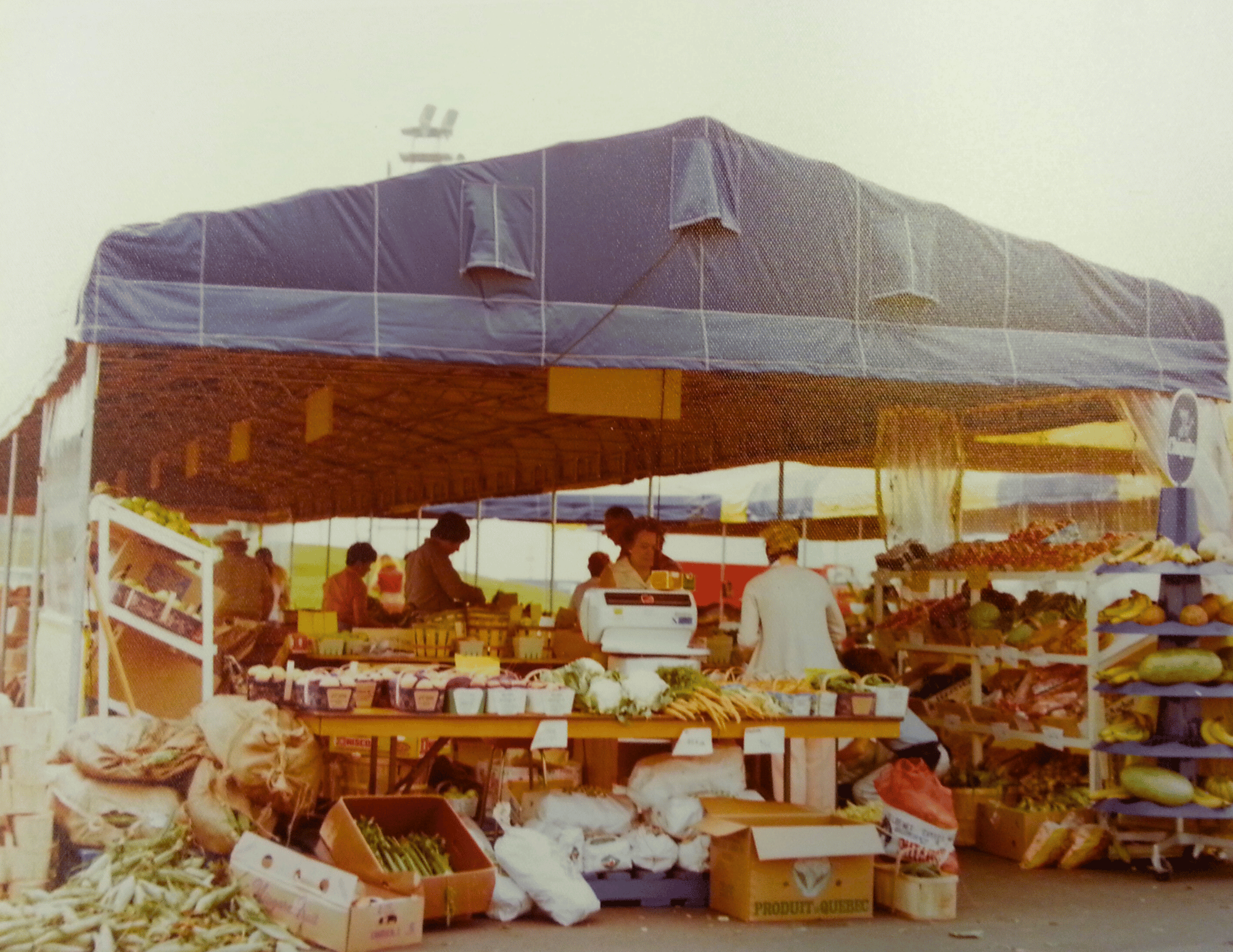 Marché en plein air avec étals de fruits et légumes sous une tente bleue. Plusieurs personnes achètent des produits.
