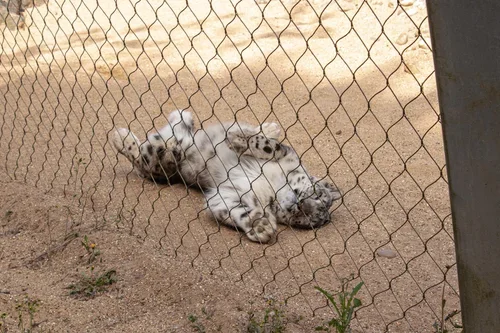 Banham_Zoo+(4).webp