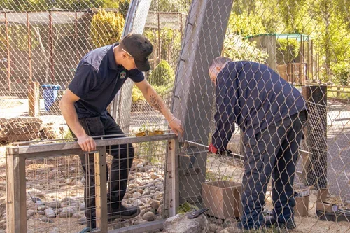 Banham_Zoo+(12).webp