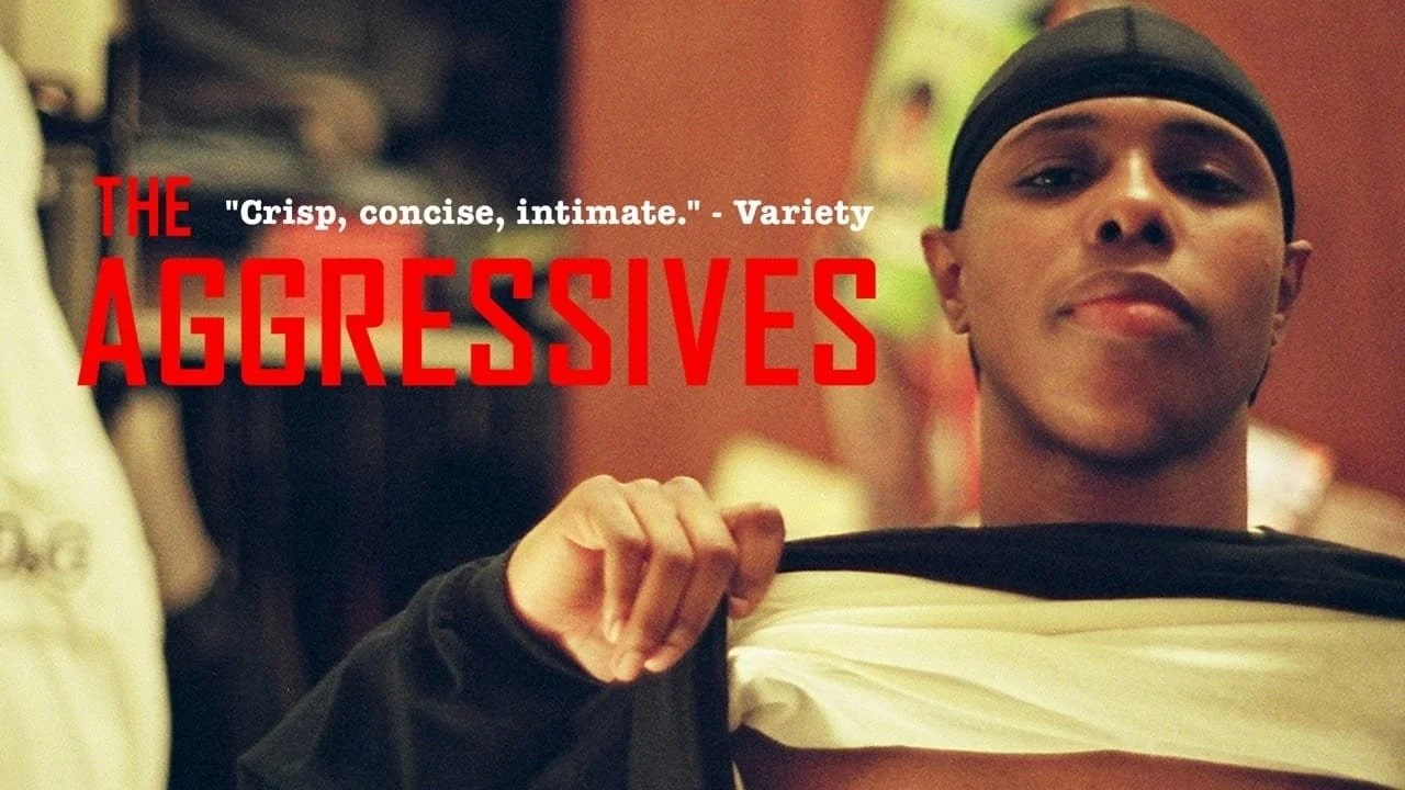 Transformative Media Series: The Aggressives