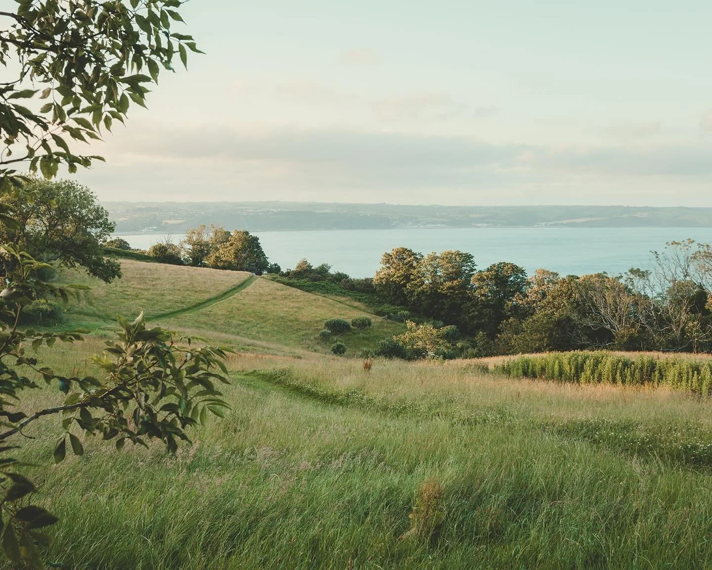 Thank you for all your support this year, wishing a healthy and happy new year to all of our followers. We can&rsquo;t wait to share our new projects with you in 2026 🕊️