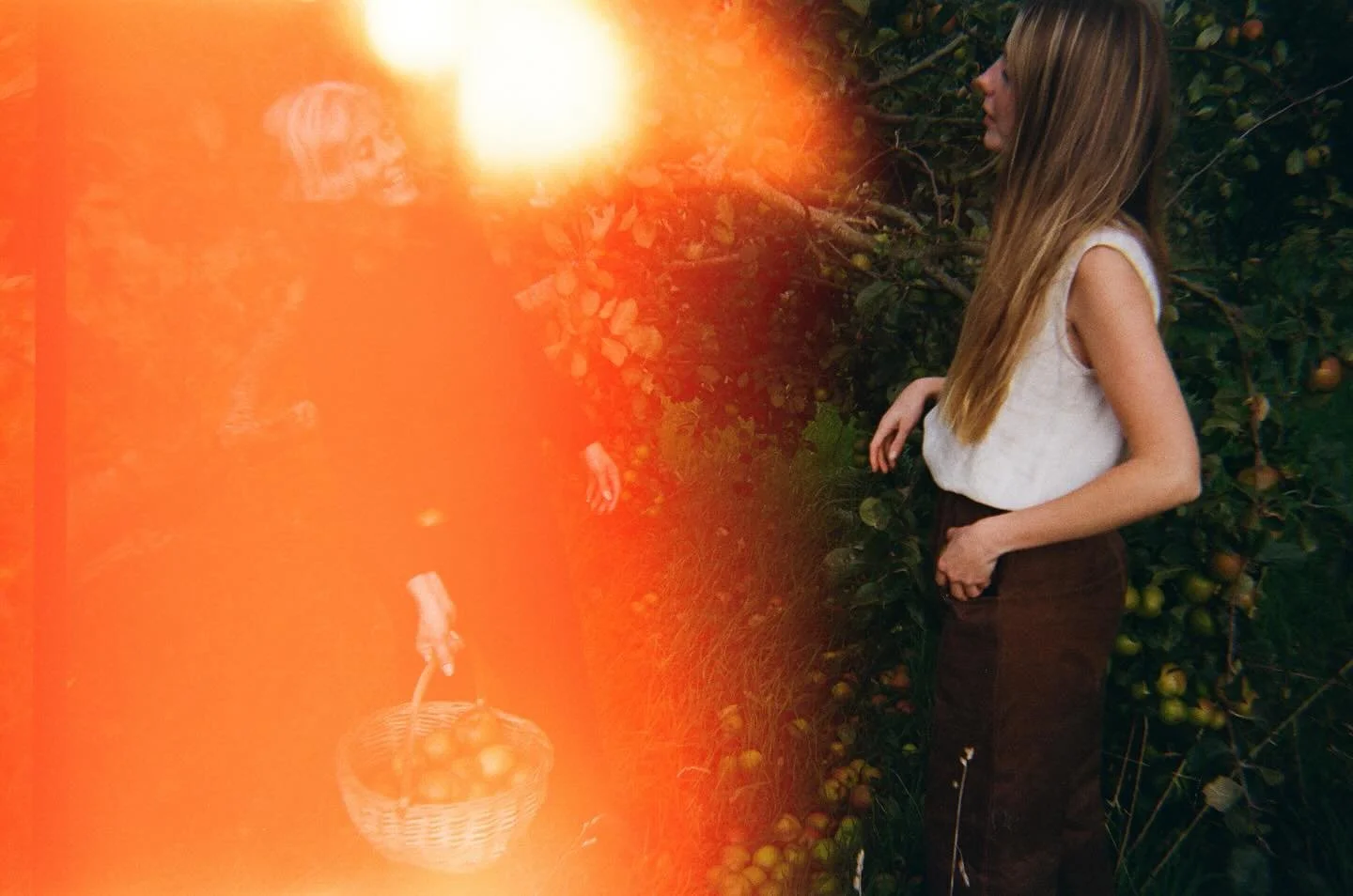 Already looking forward to spring ✨🌼