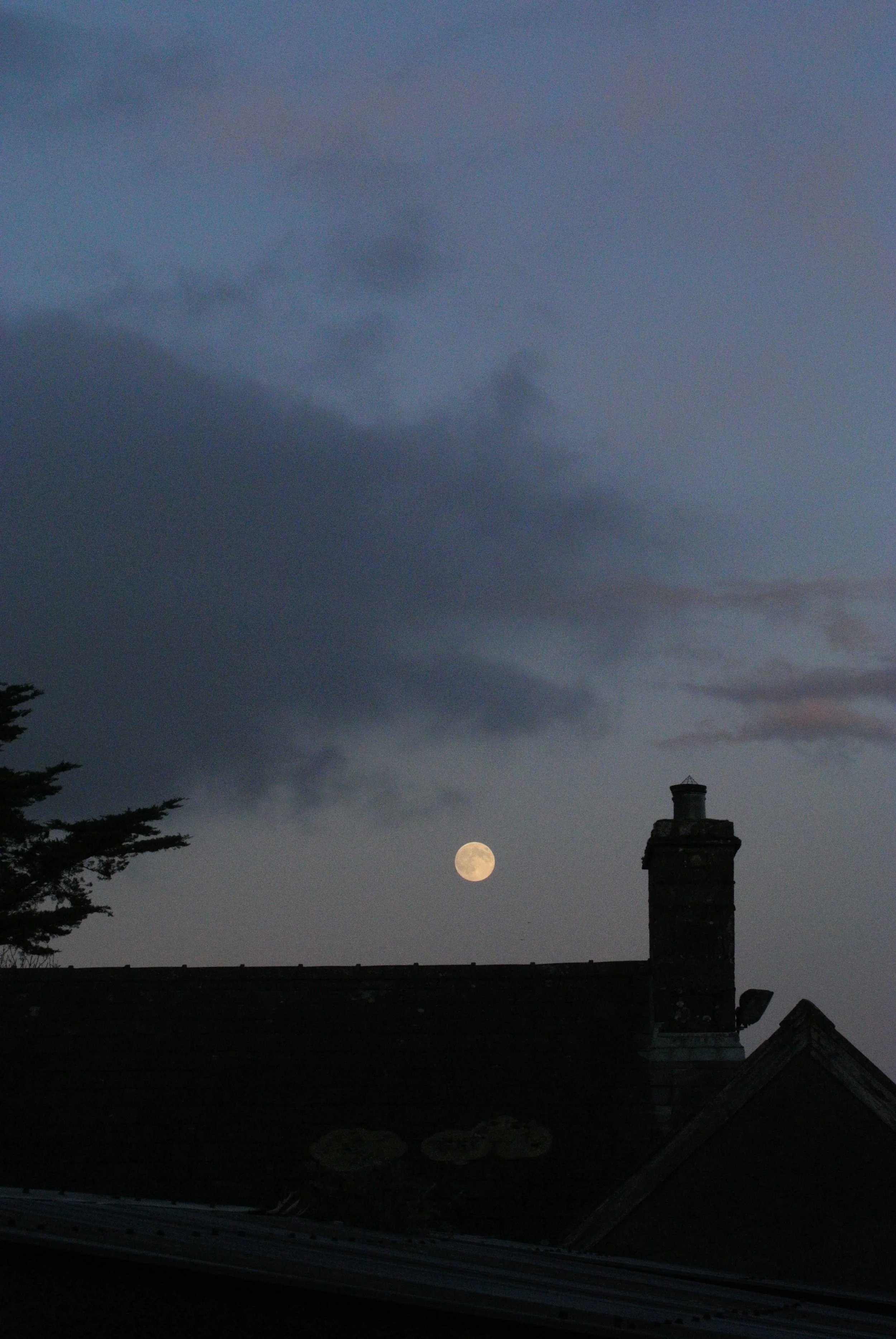 DSC_3350.JPG