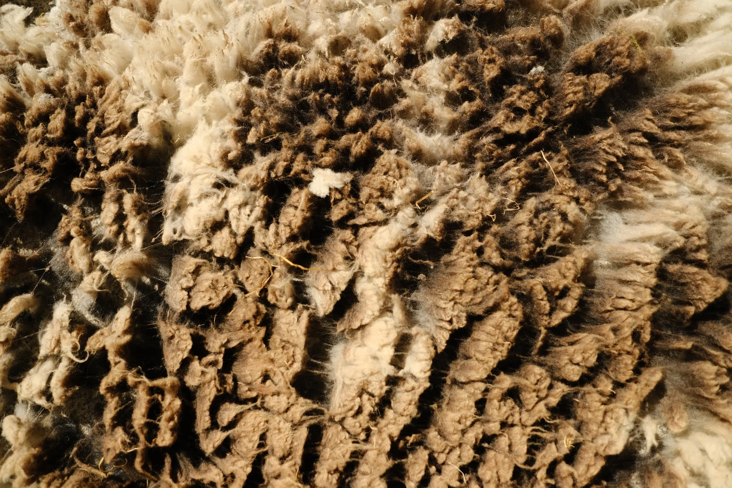 DSCF3436.JPG