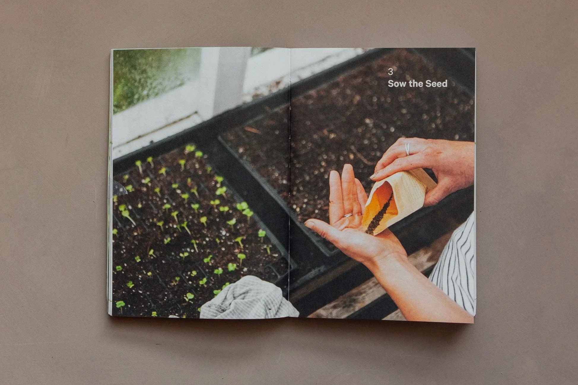 do-grow-guide-to-growing-vegetables-3.jpg