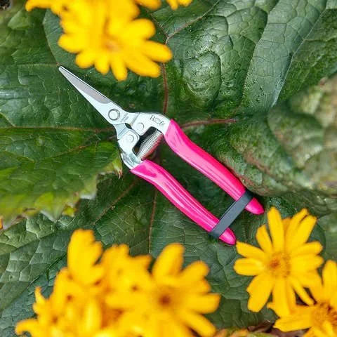 Flower & Fruit Snips