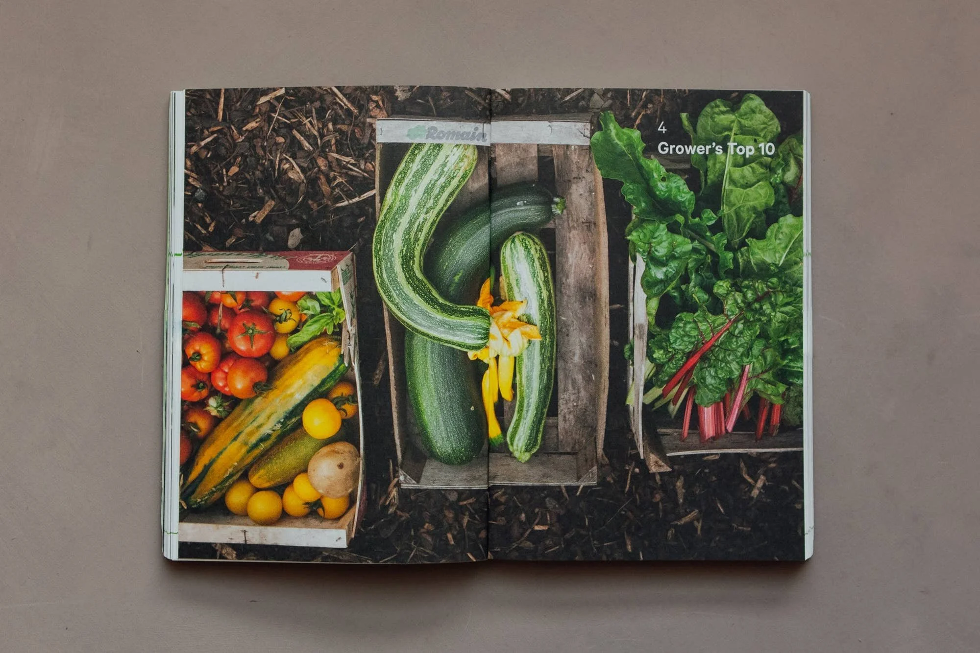 do-grow-guide-to-growing-vegetables-7.jpg