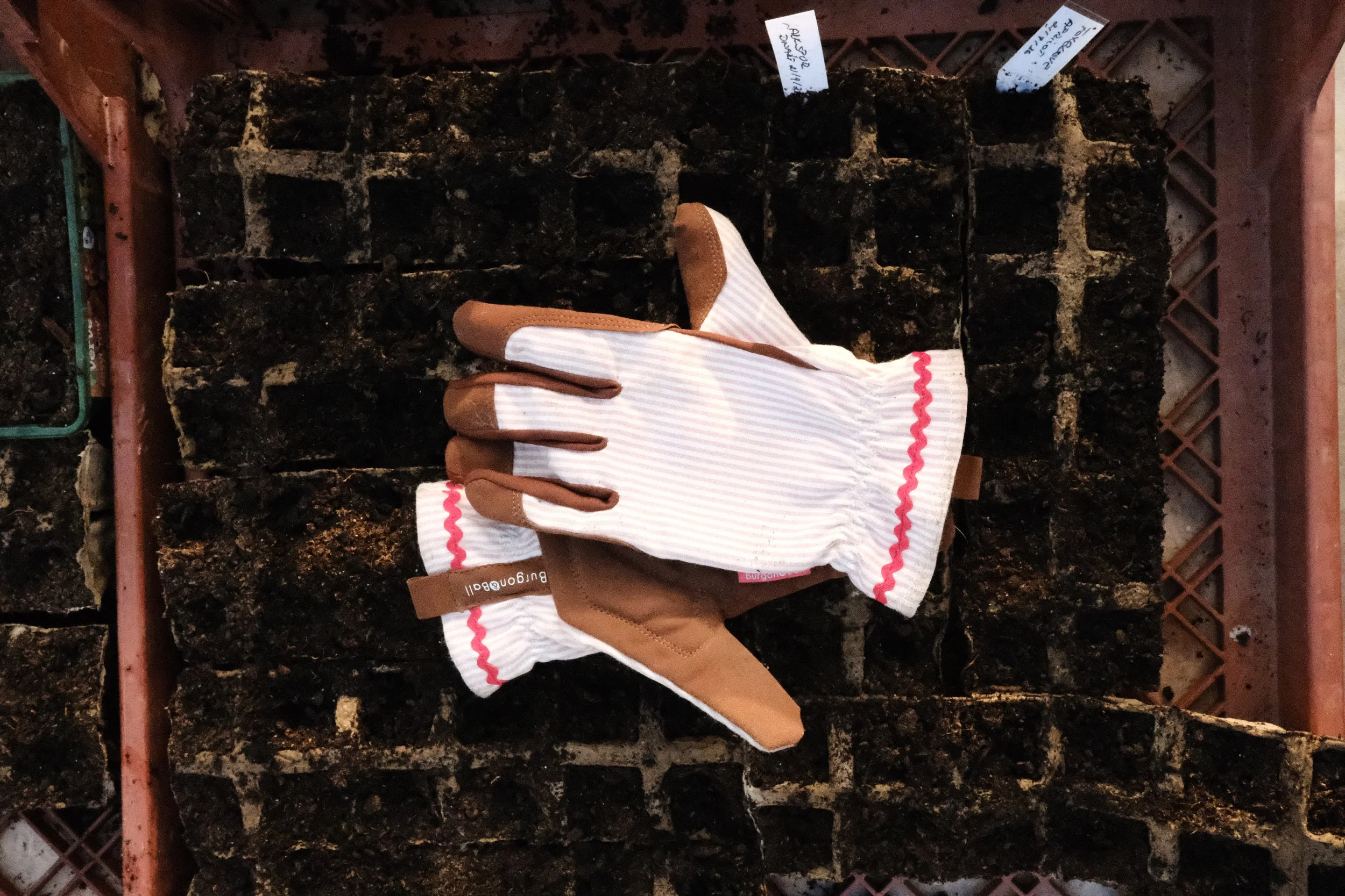 Blush Stripe Gardening Gloves