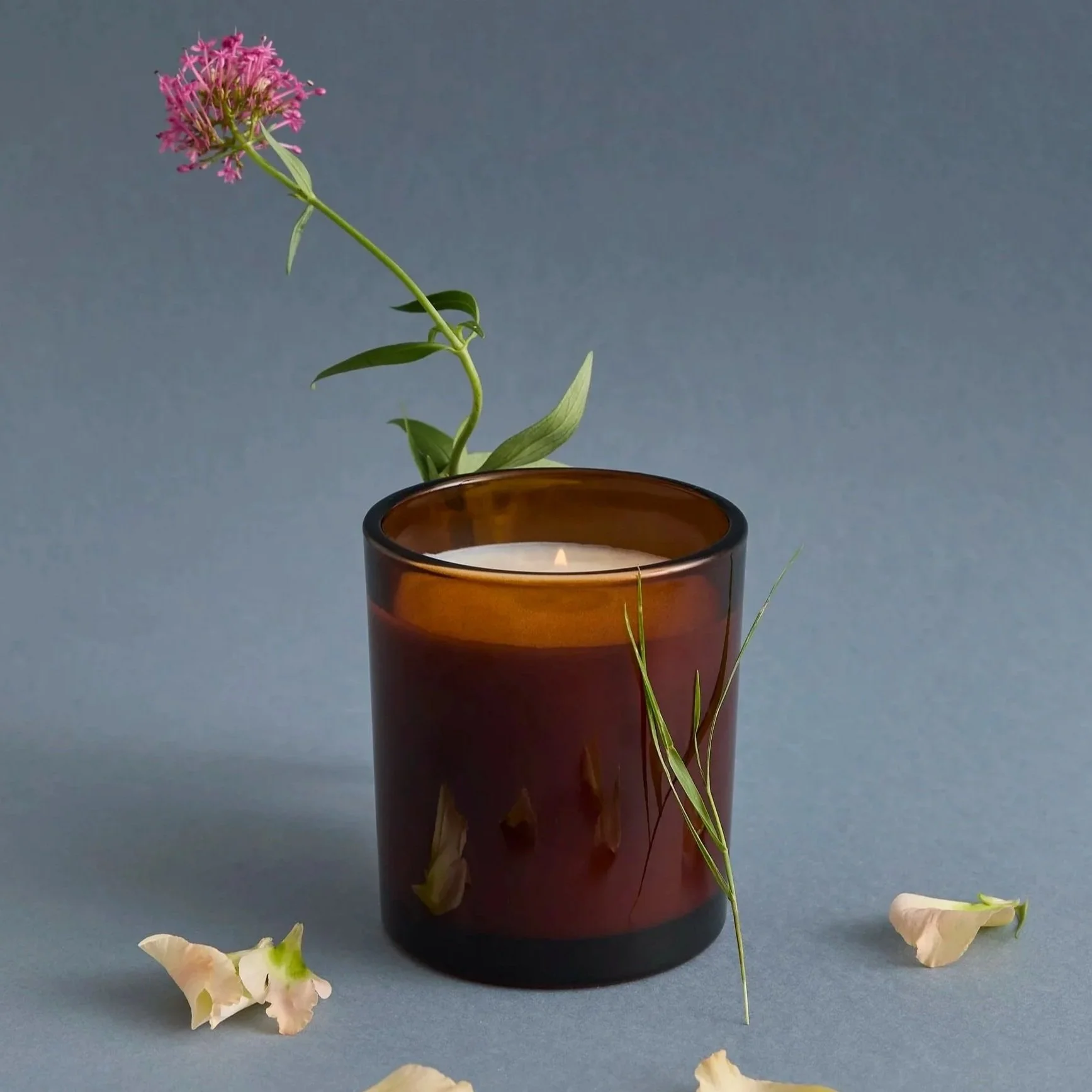 Monkstone%2BKnitwear%2B%252B%2BBotanicals0433.jpg