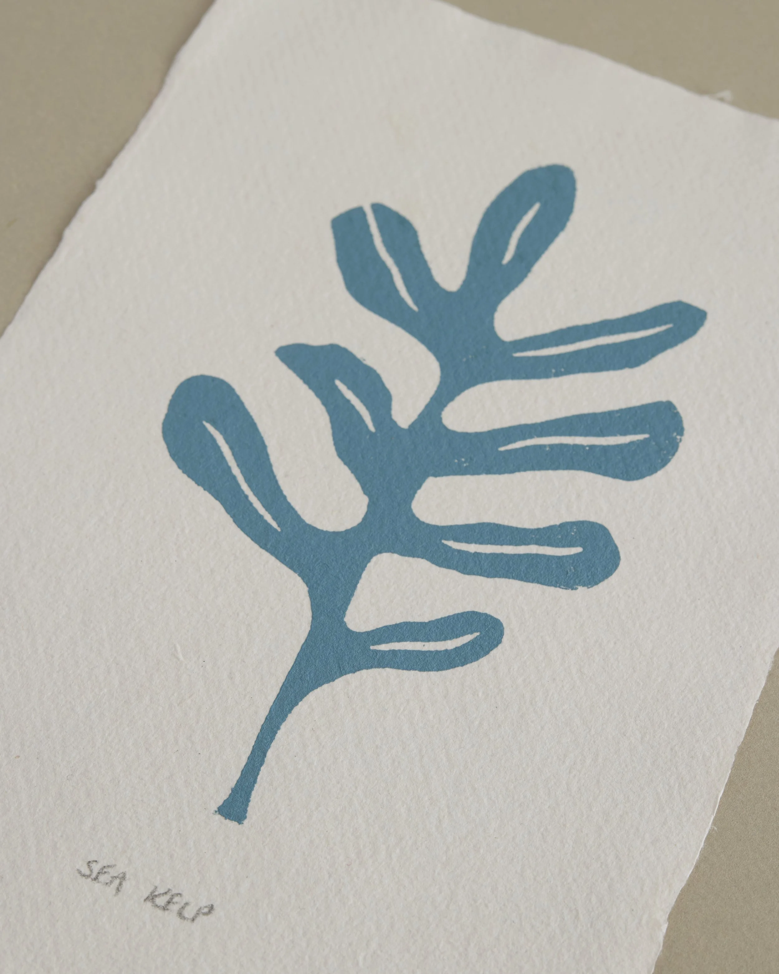 Sea Kelp Lino Print