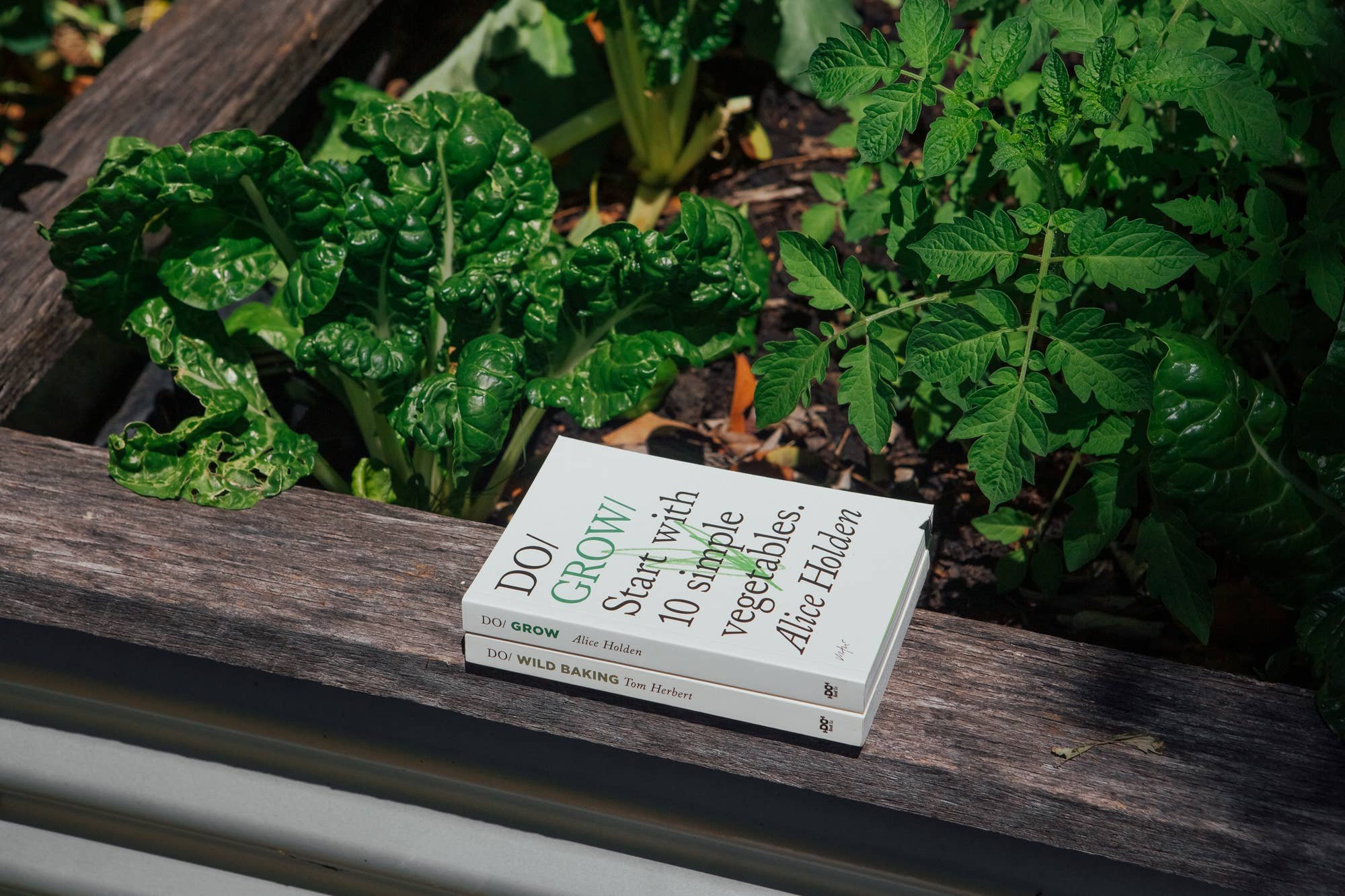 do-grow-guide-to-growing-vegetables-6.jpg
