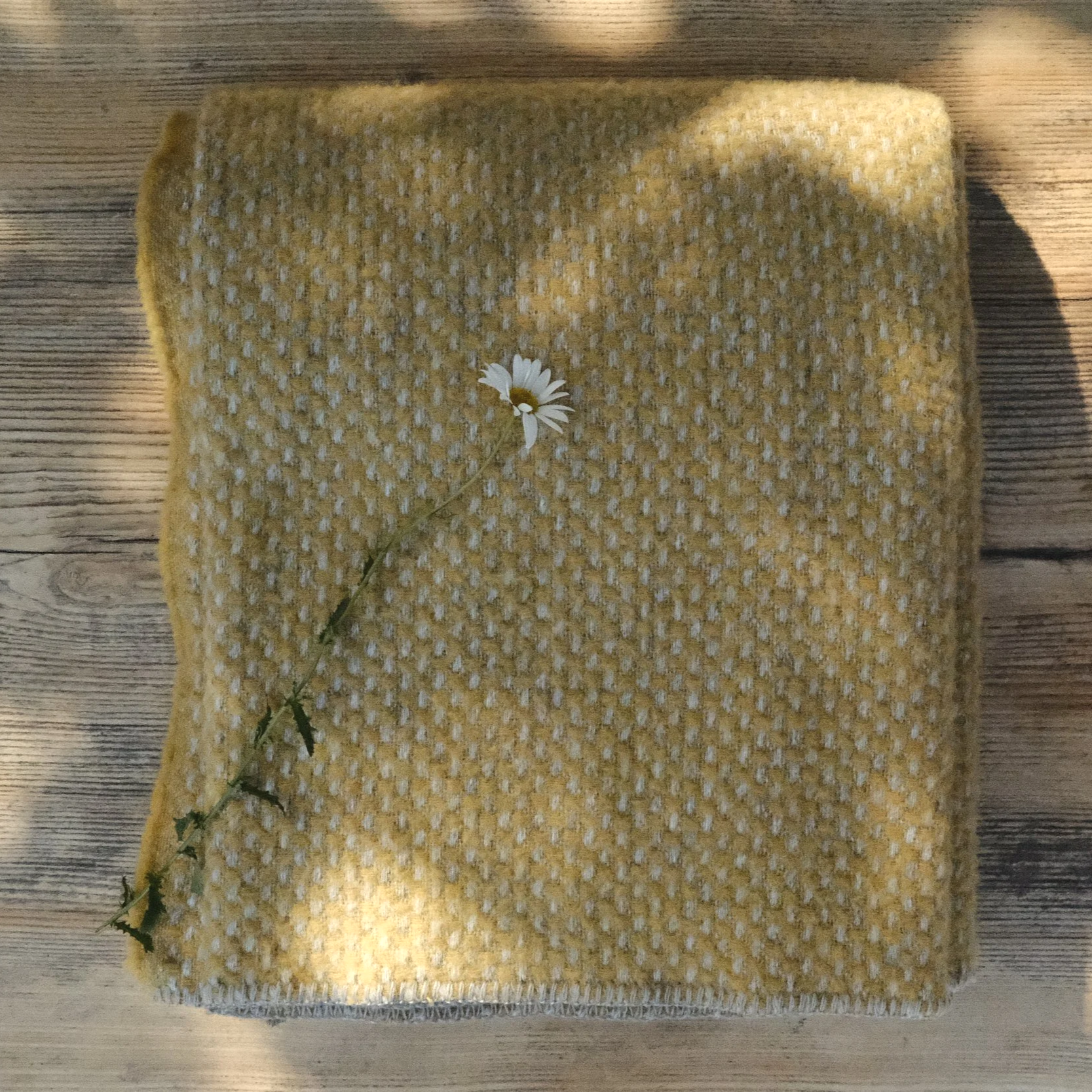Daisy Twill Throw