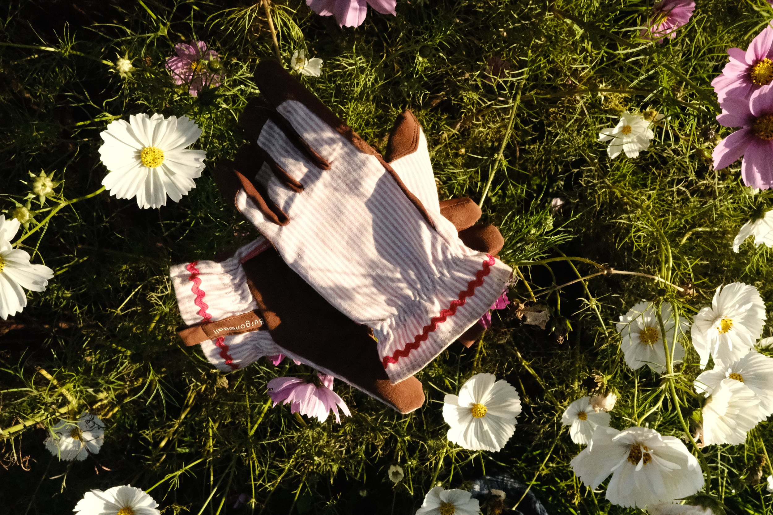 DSCF9123.JPG