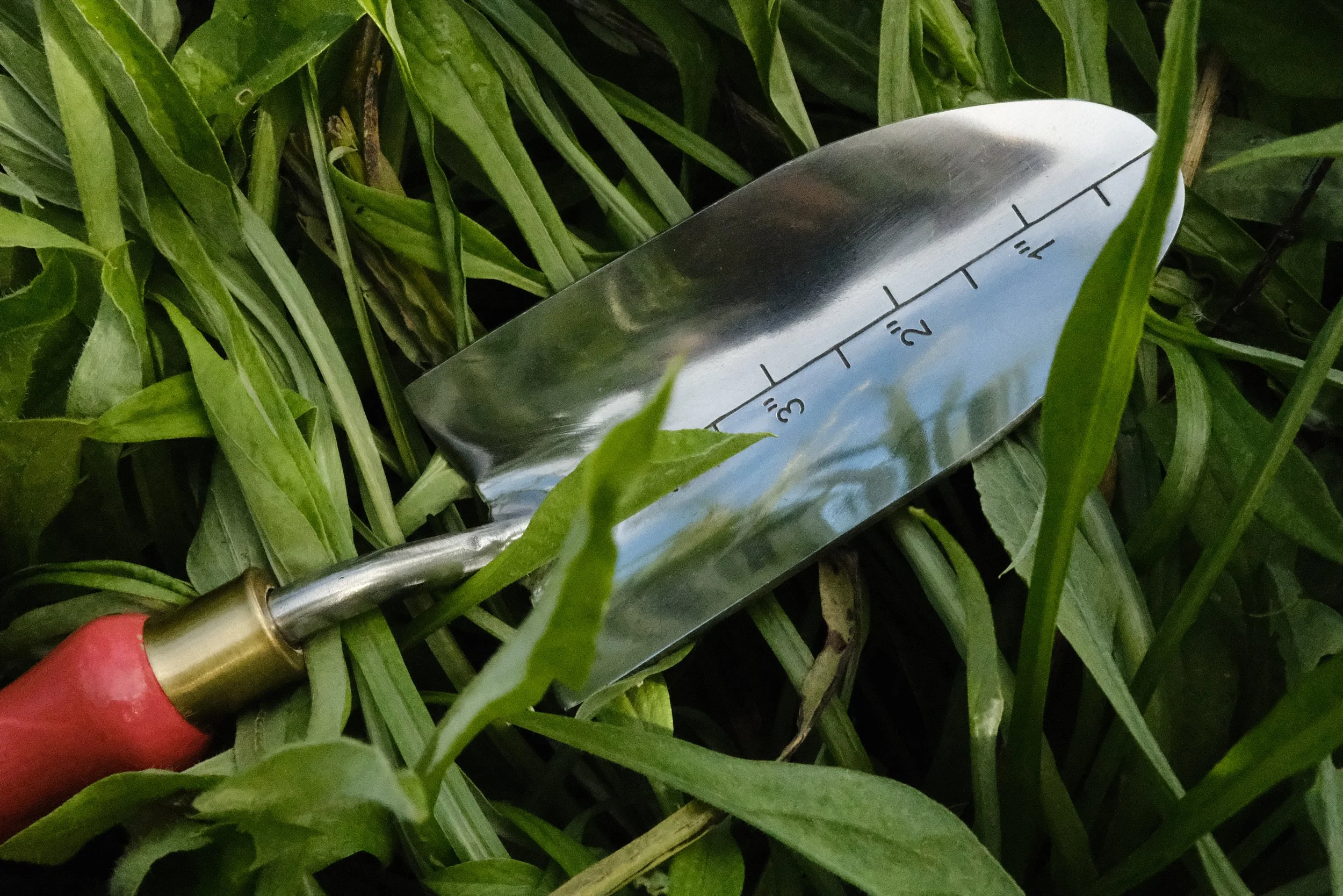 DSCF8577.JPG