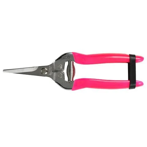 fluorescent-flower-fruit-snip-pink.jpg