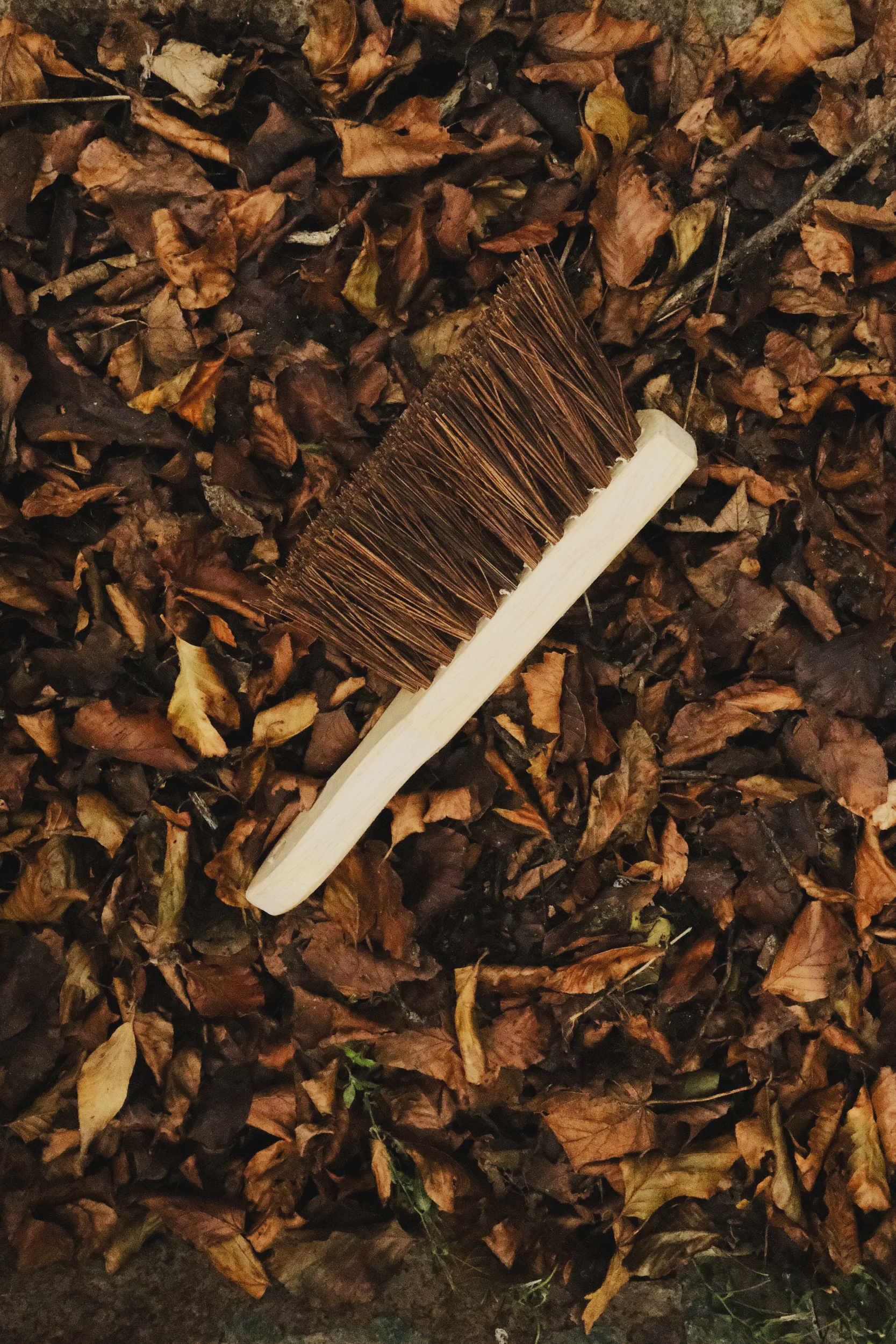 DSCF9194.png