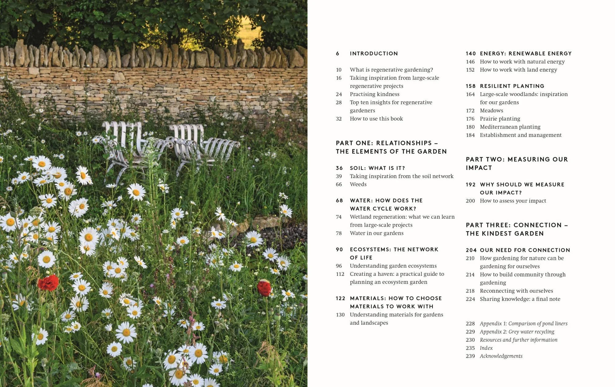 the-kindest-garden-2.jpg