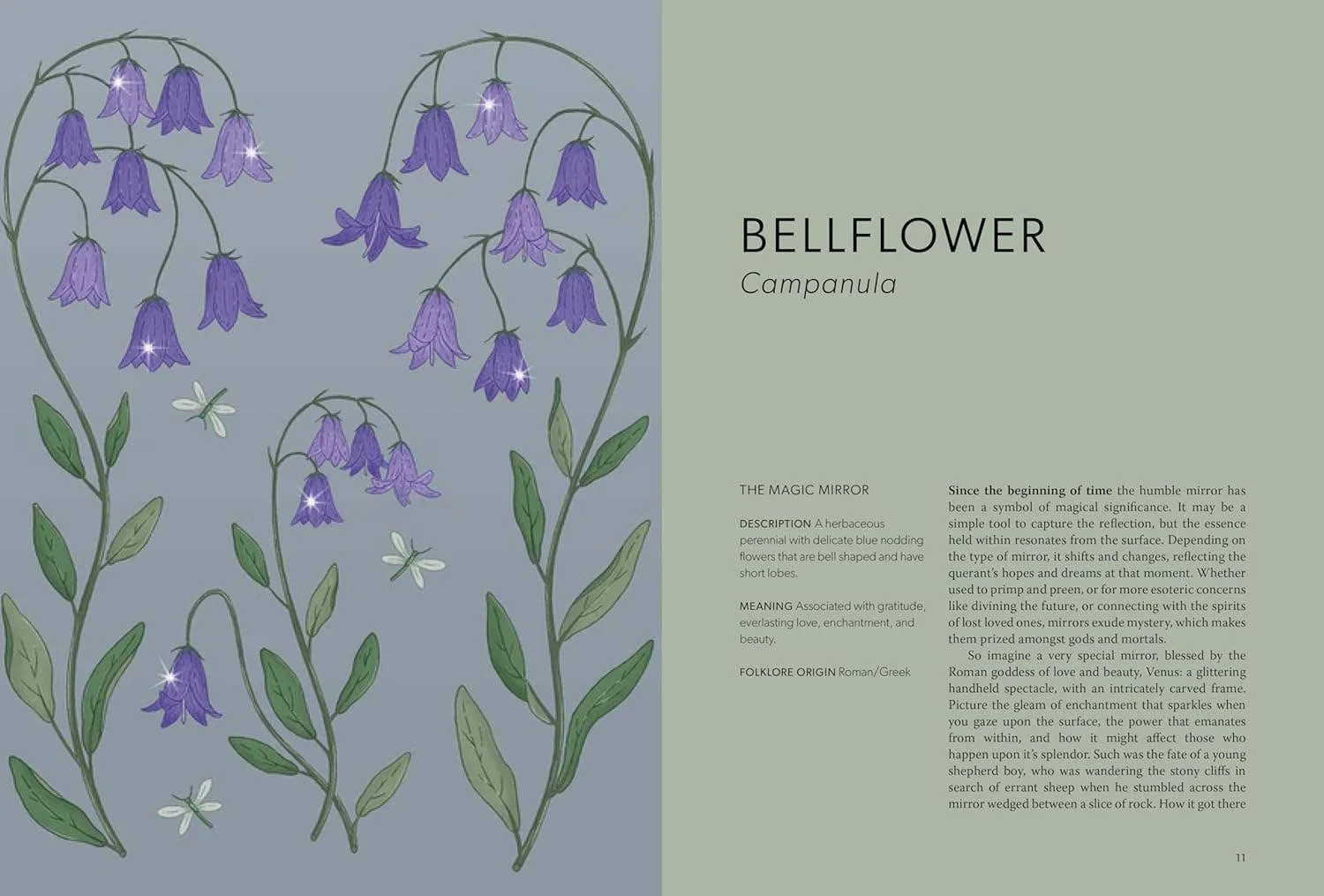 floral-folklore-2.jpg