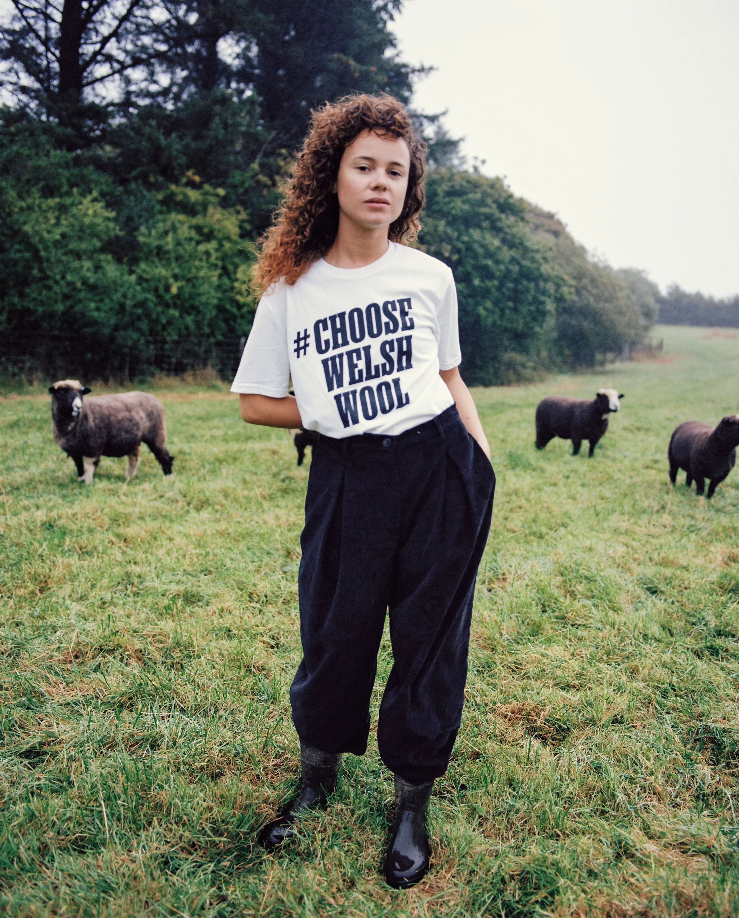 Welsh Wool Company