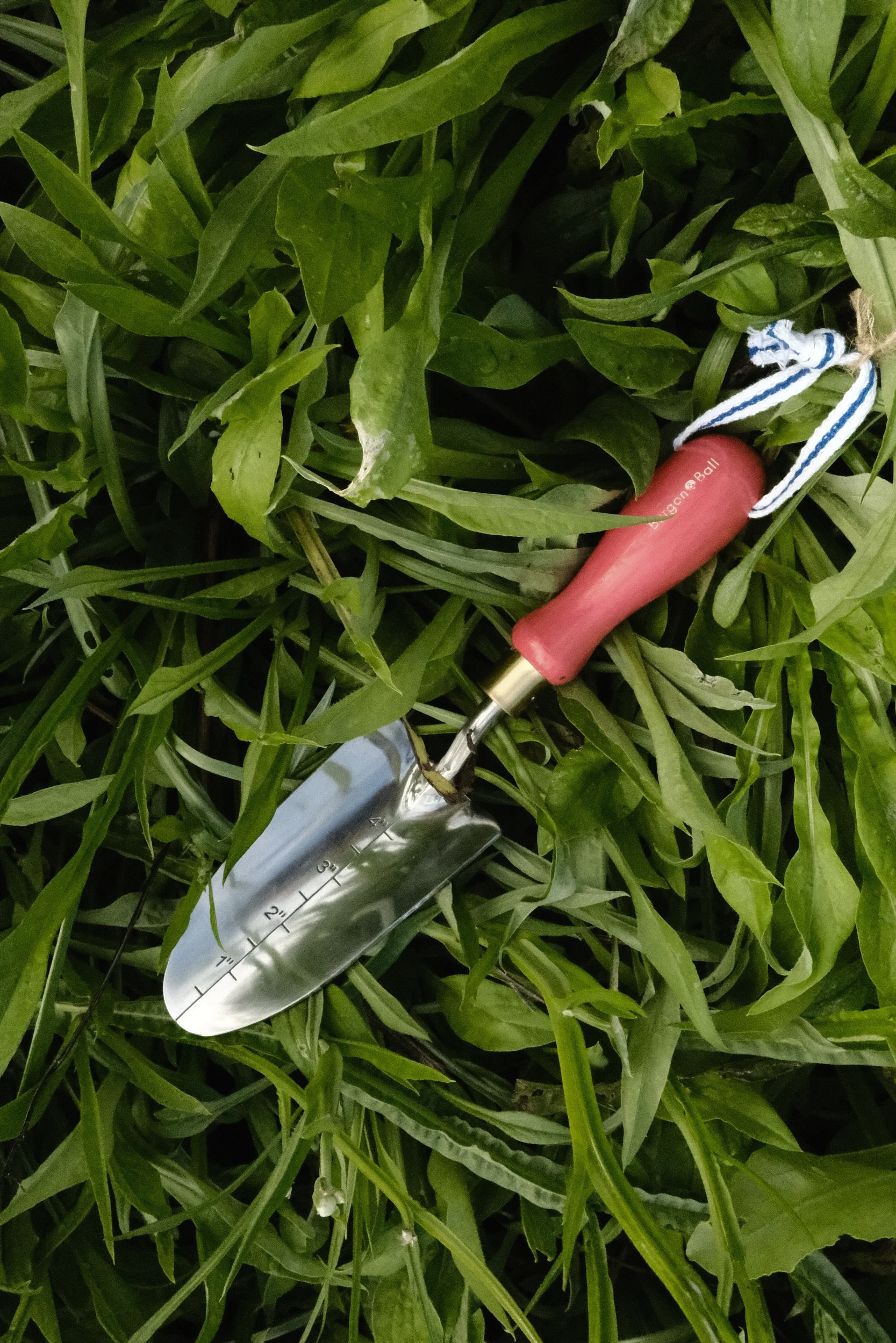 Transplanting Trowel