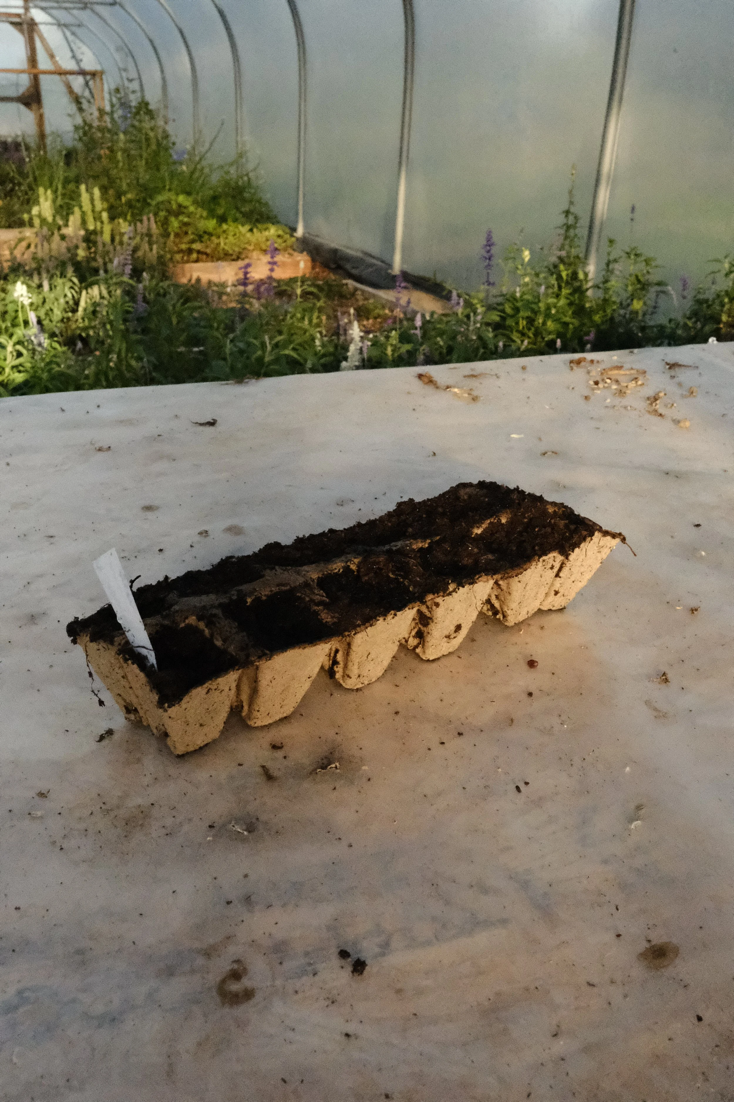 DSCF9085.JPG