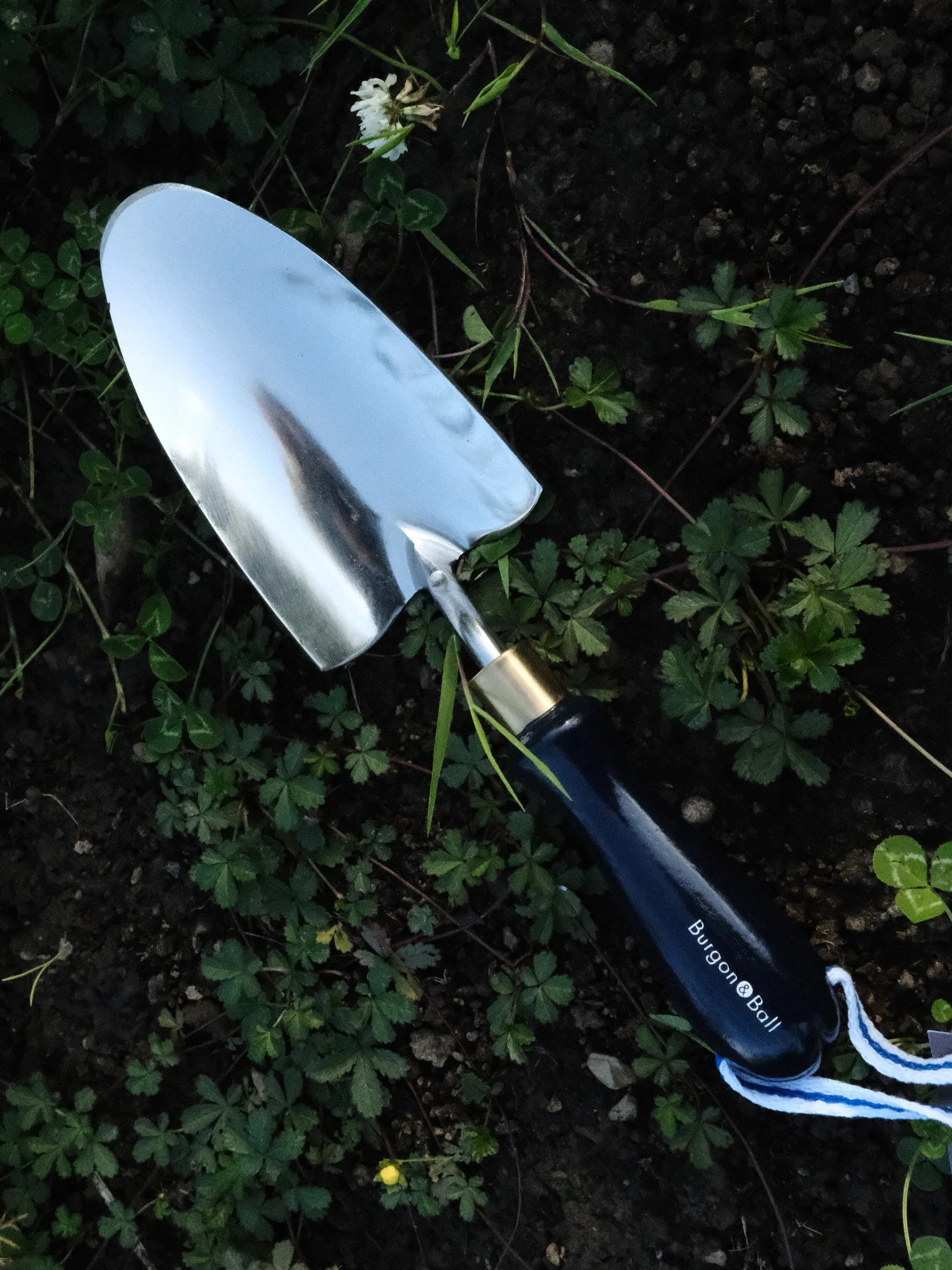 Hand Trowel
