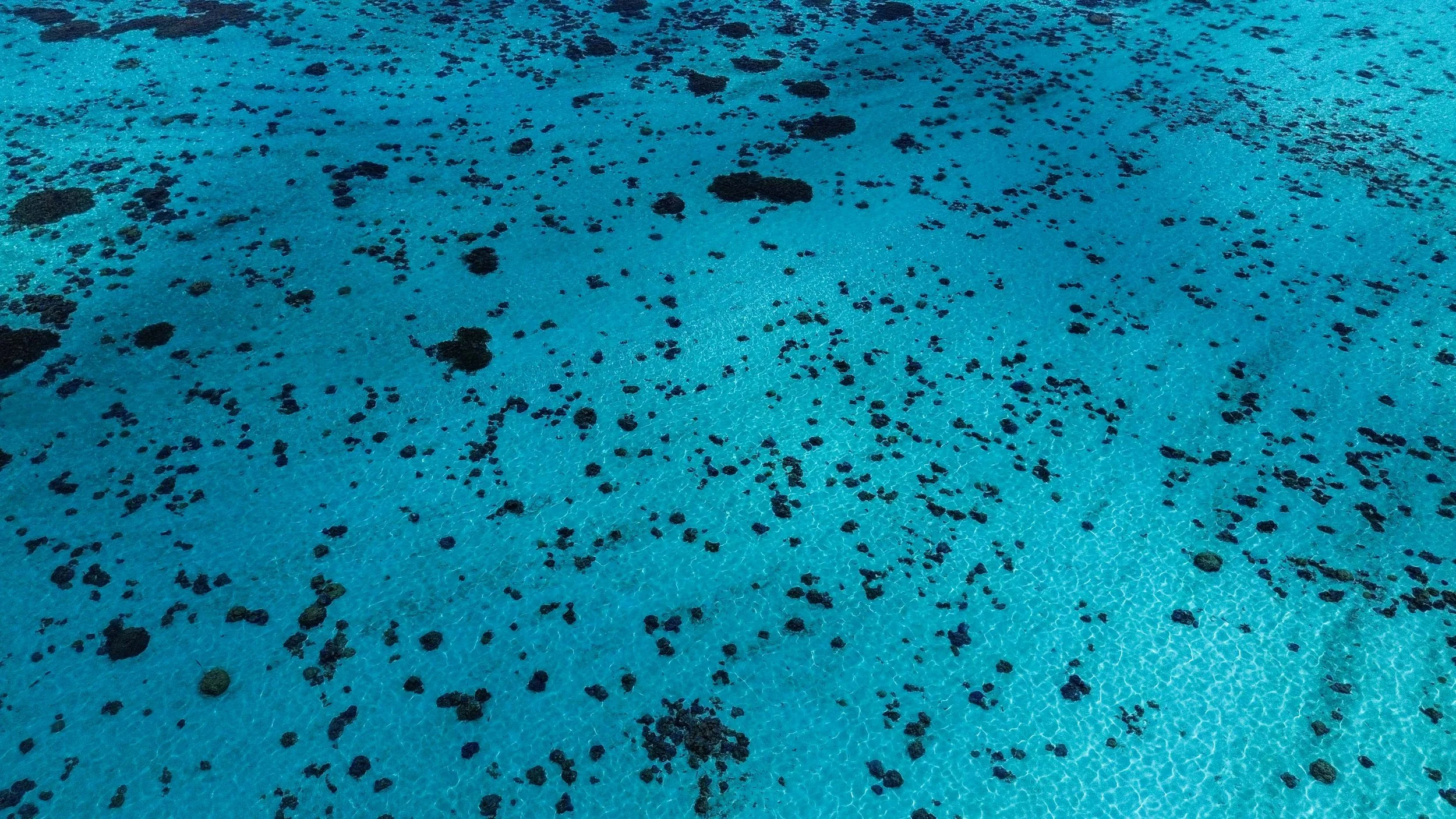 DJI_0135.jpg