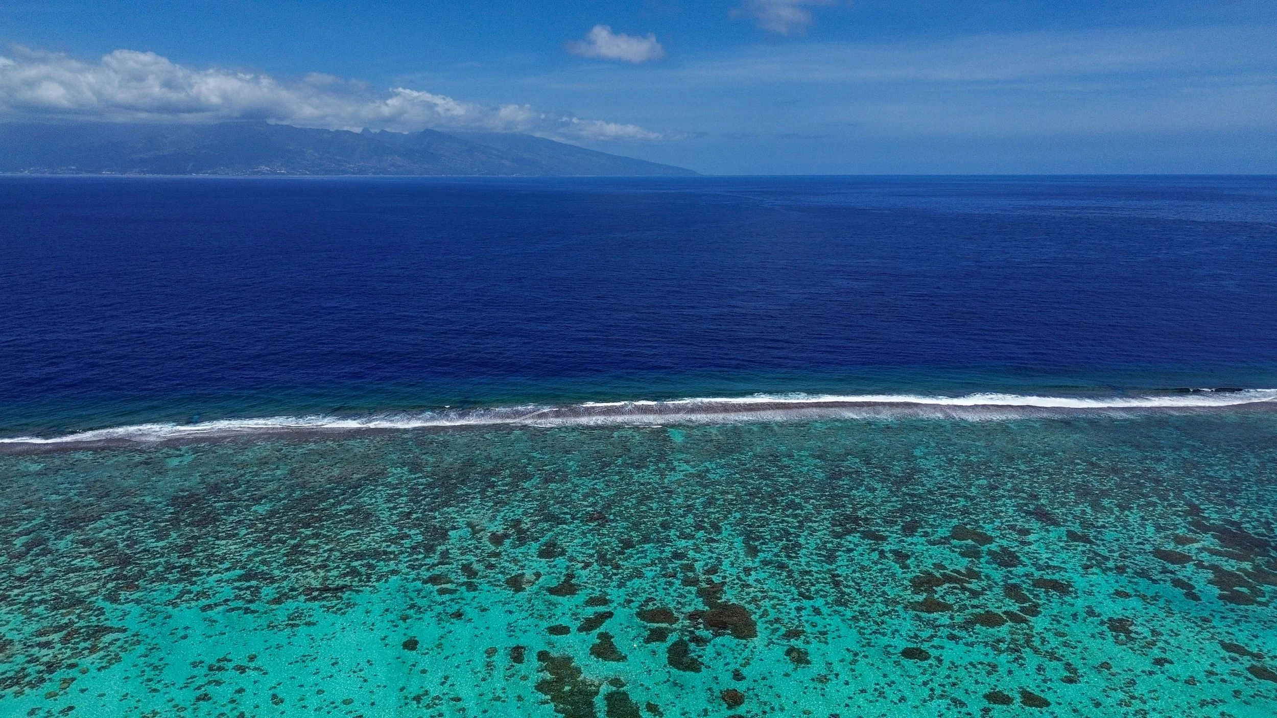 DJI_0184.jpg