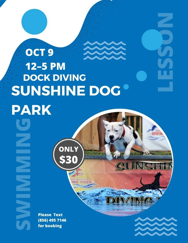 Sunshine Dog Park