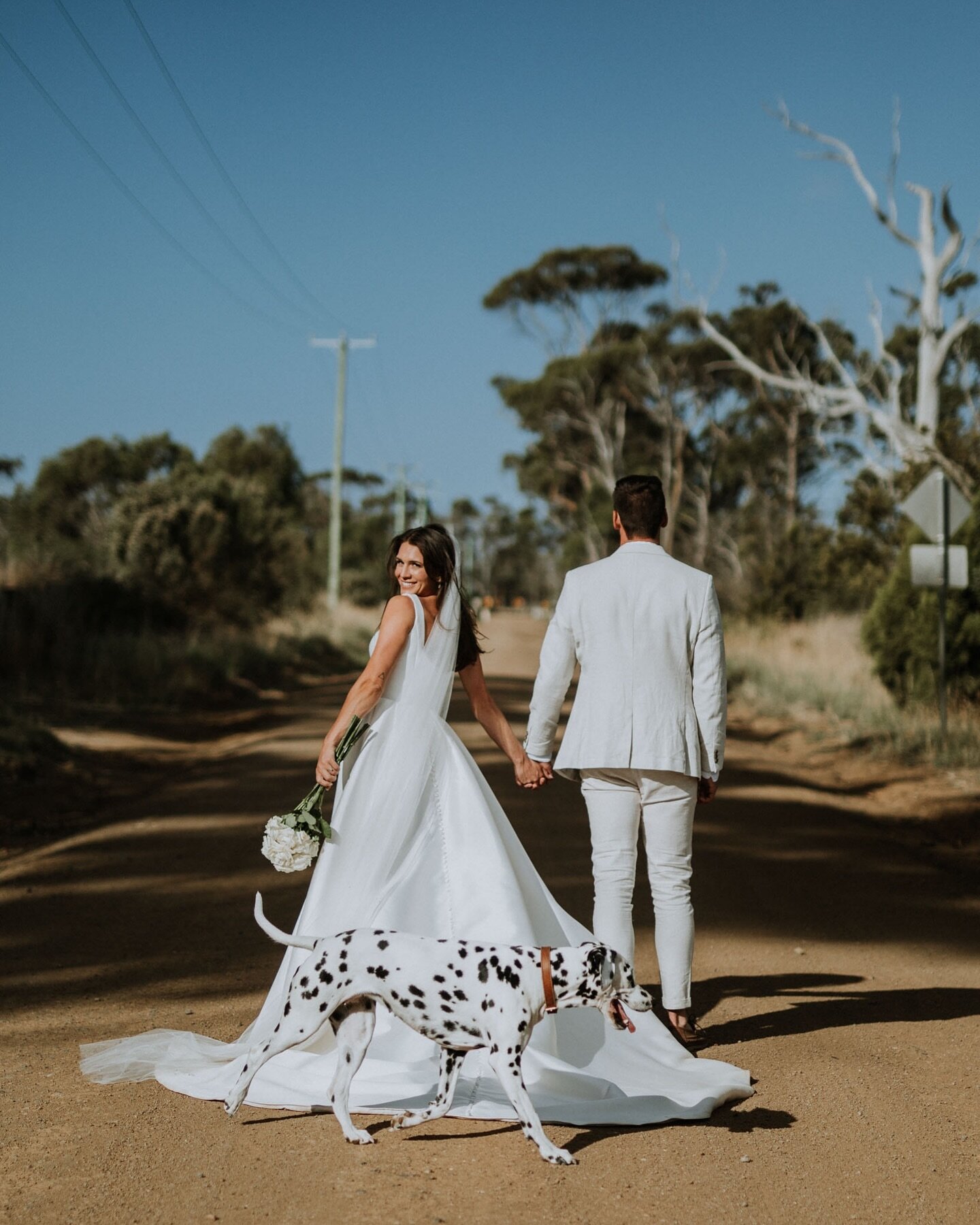 It&rsquo;s great Janelle and Josh could join for their Dalmatian&rsquo;s special day&hellip;

~

#tasmania #tasmaniawedding #tasmanianwedding #tasmanianweddingphotographer #marionbay