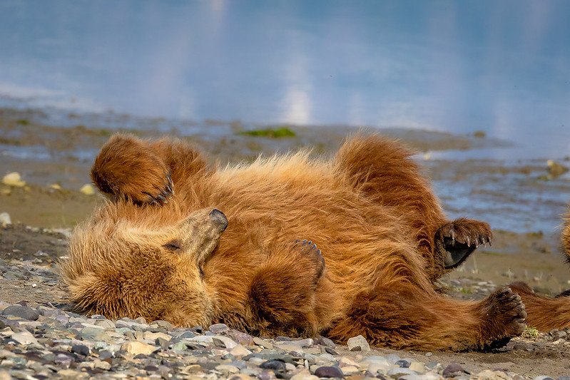 Stressed? How to Stay Calm in Tough Times