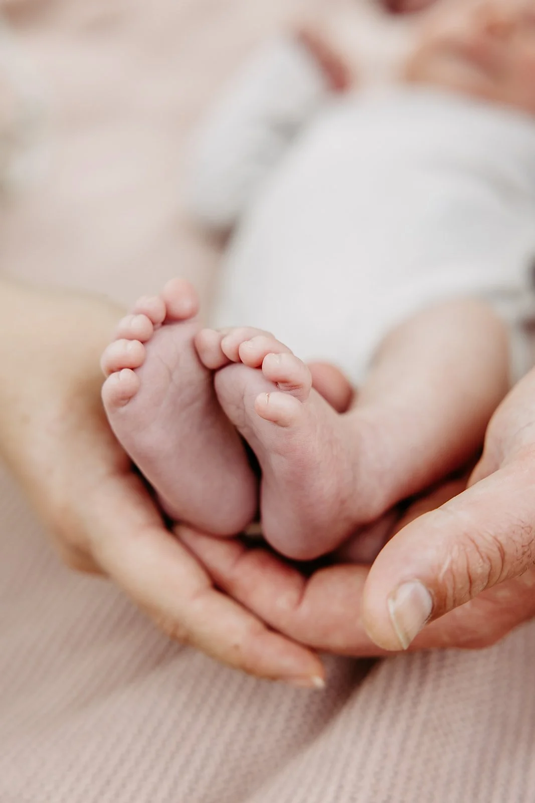 Familienshooting, Familienfotoshooting, Familienfotos, Familienfotograf, Schwangerschaftsshooting, Schwangerschaftsfoto,Babybauchshooting, Paarfotoshooting, Paarfotoshooting, Paarfotos, Newborn-Shooting, Neugeborenen Shooting, Babyfotos, Bad Honnef, 