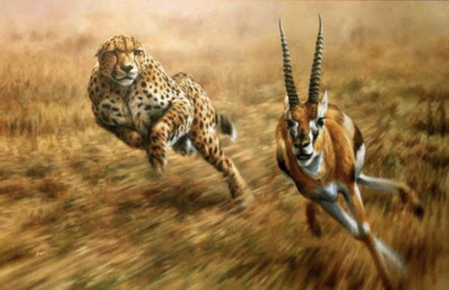 Completing the Cycle