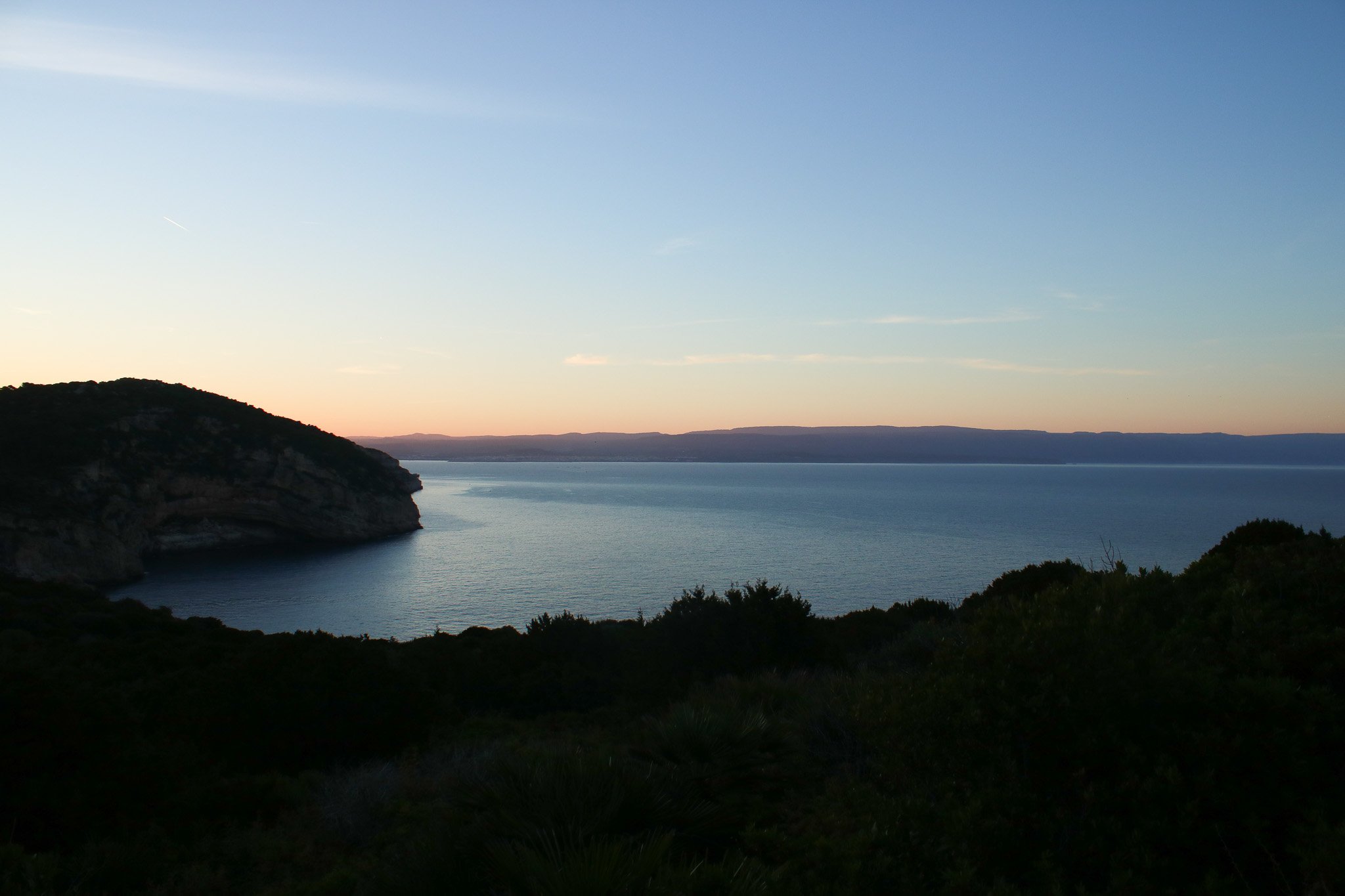 IMG_4377.jpg