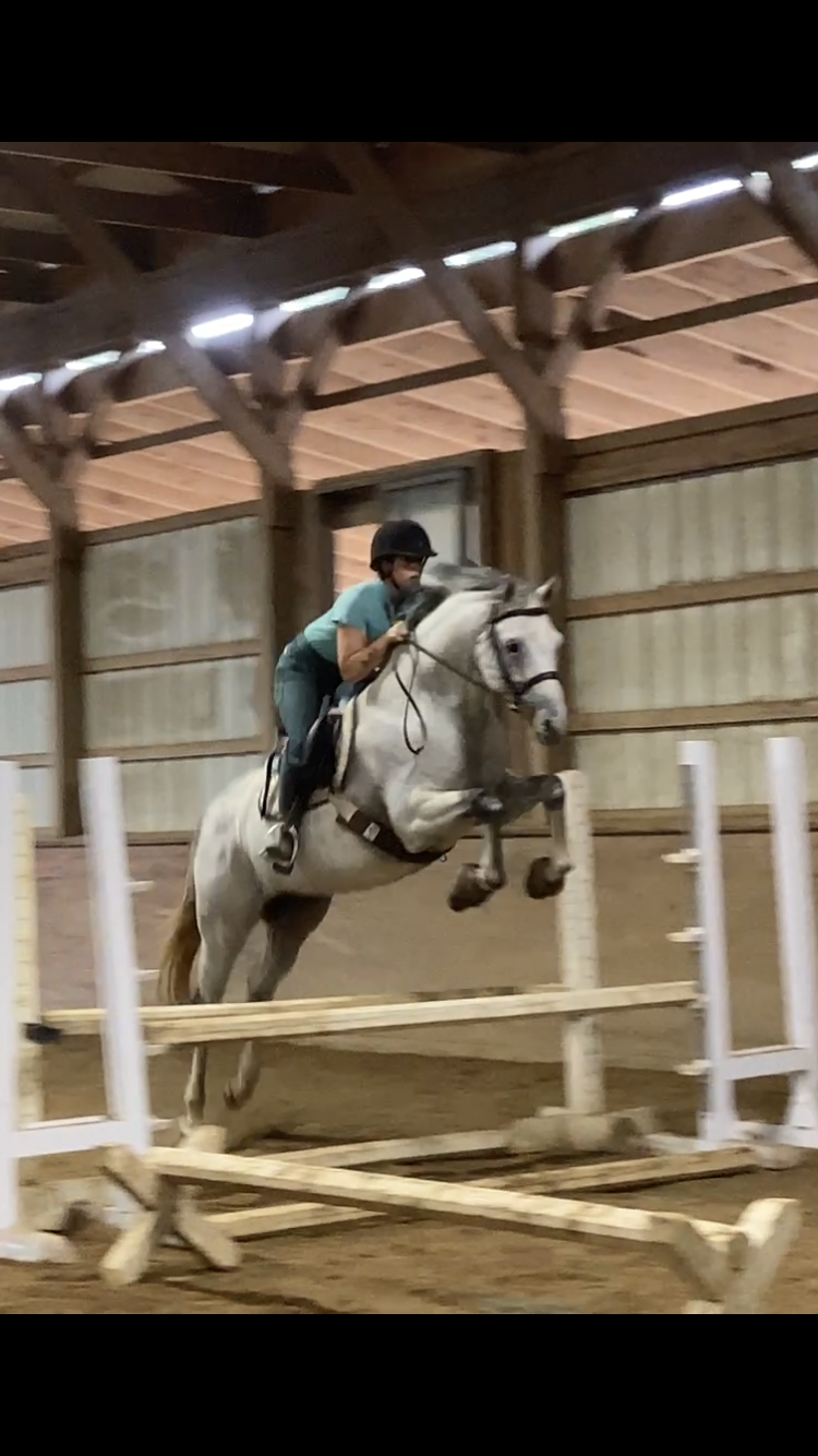 Cheddar jump oxer schooling.PNG