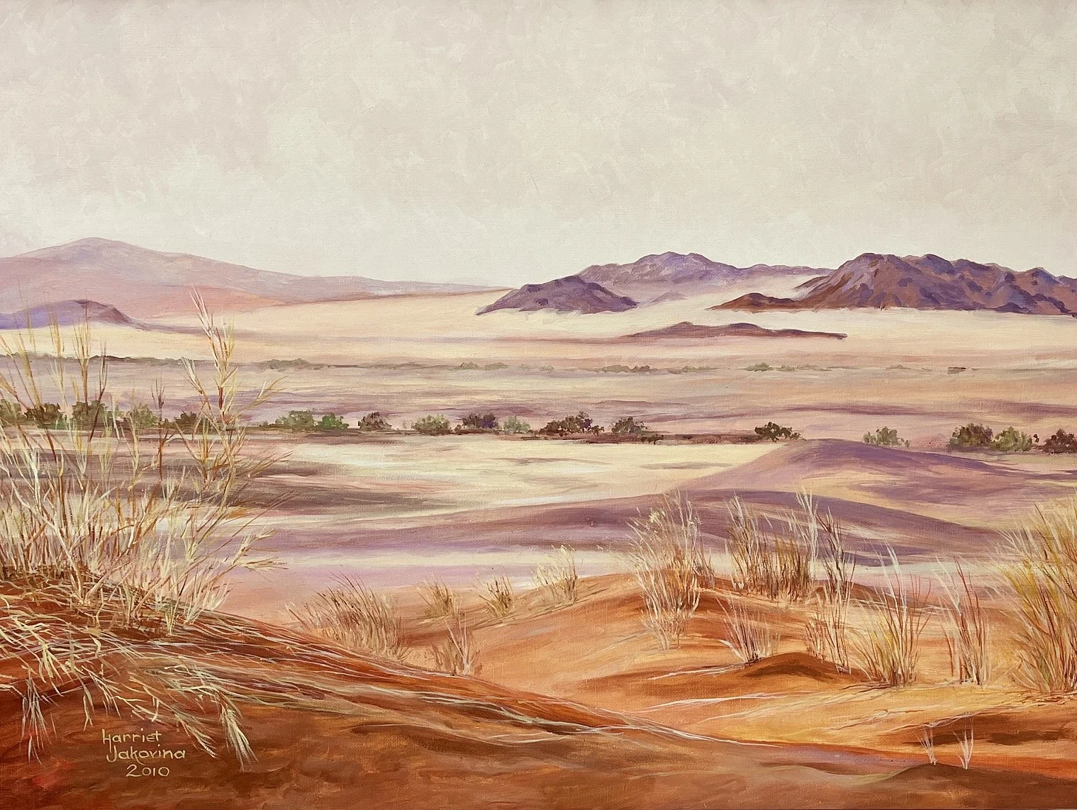 Harriet Jakovina "Death Valley"