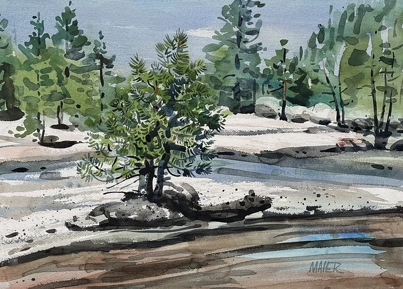  TUOLUMNE RIVER Watercolor  
    |      21" x 29" 