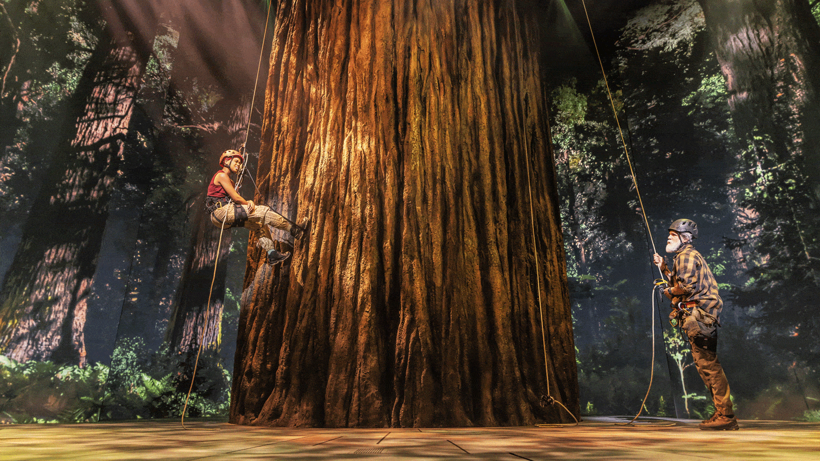 REDWOOD ON BROADWAY