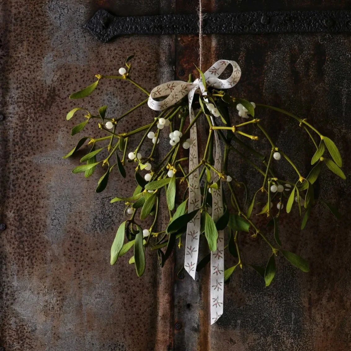 FREE MISTLETOE!

Local friends - I was kindly given lots of mistletoe by a local tree surgeon this year. If anyone would like some, please come and help yourself. I will leave it outside the studio and it will be available from tomorrow until Friday 