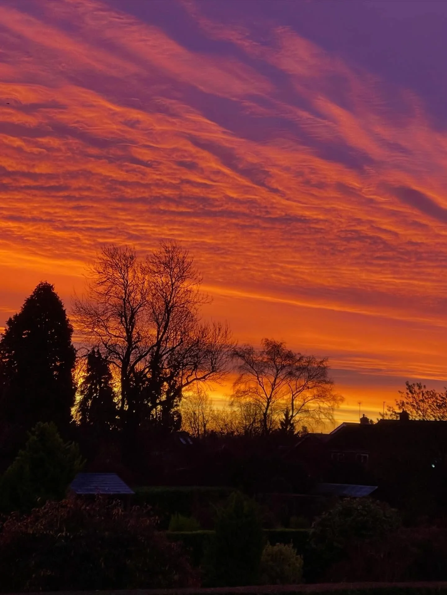 Your reminder to pause and breathe.

Gosh the adrenaline around me feels a lot! Why do we get caught up in the chaos and the hype every time? I found this was me this morning, mind racing, lists upon lists of what I have to complete in just a few sho