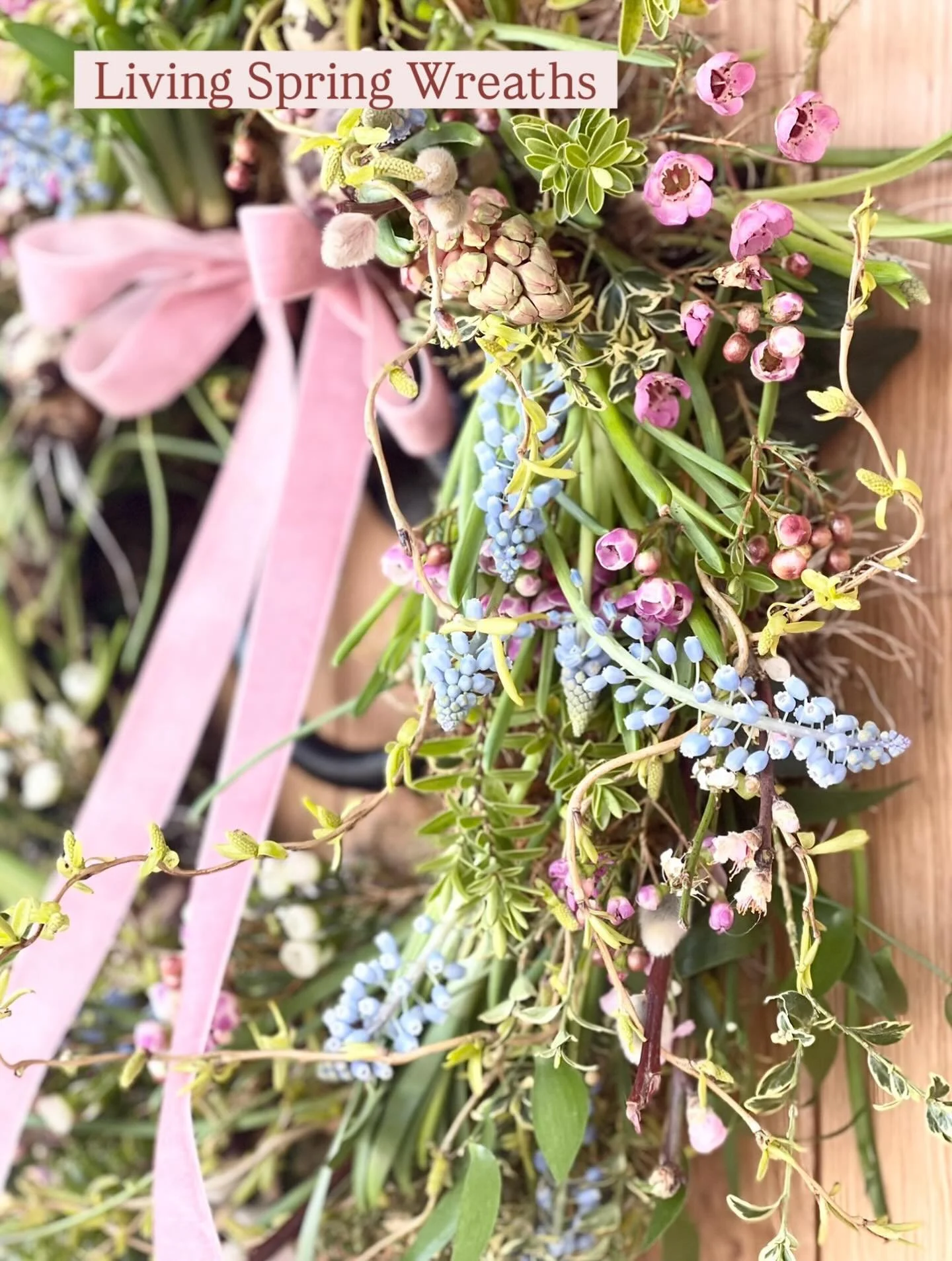 Let the new begin&hellip;&hellip;.

Hello all. It&rsquo;s been a tricky few weeks for me and I&rsquo;ve taken a big chunk of time off work to care for my Dad who has now left this world to be in a more peaceful place. 

I&rsquo;m ready to go back to 