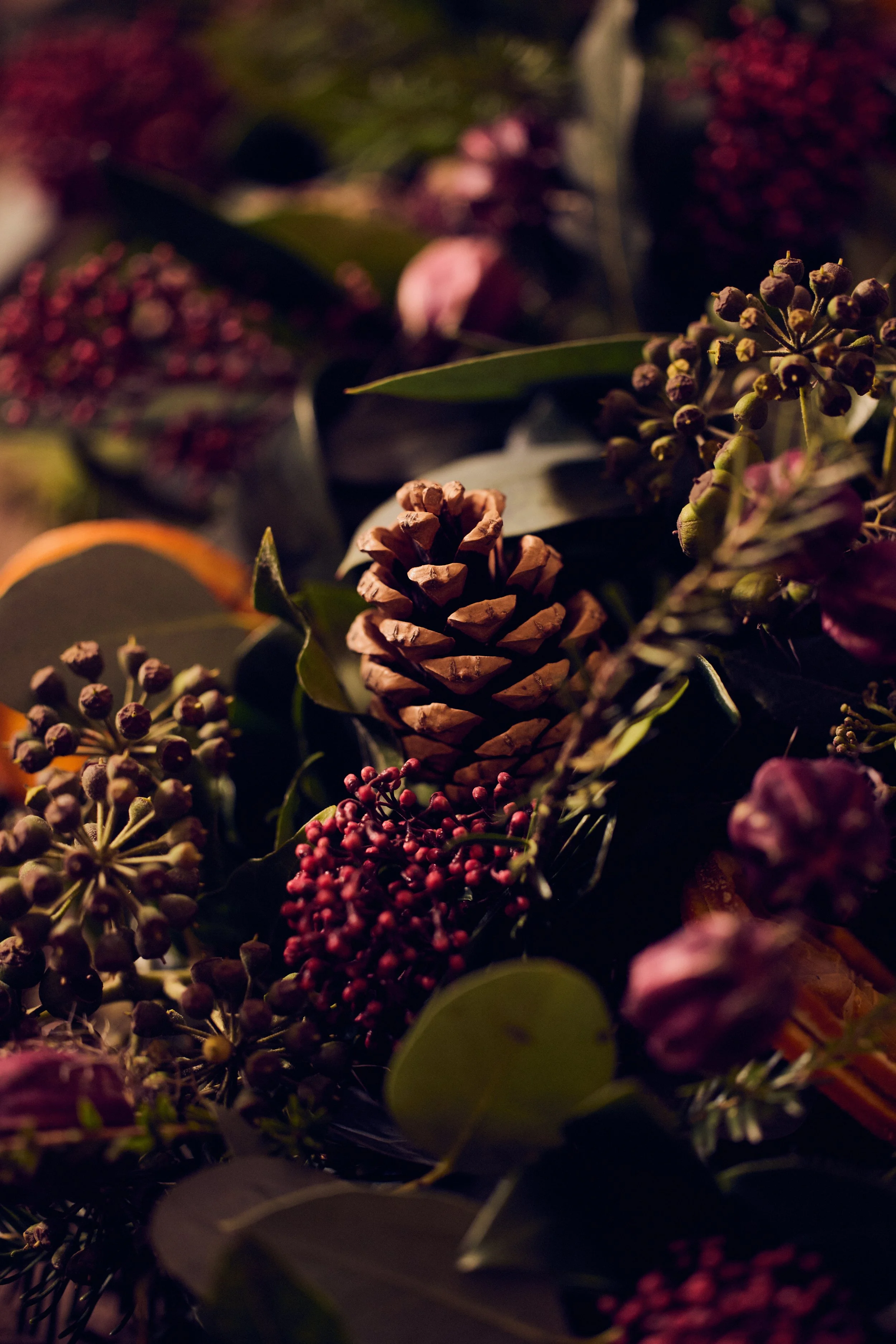 AlunCallenderPhoto_LilyLoves_0023__5B_0808.jpg